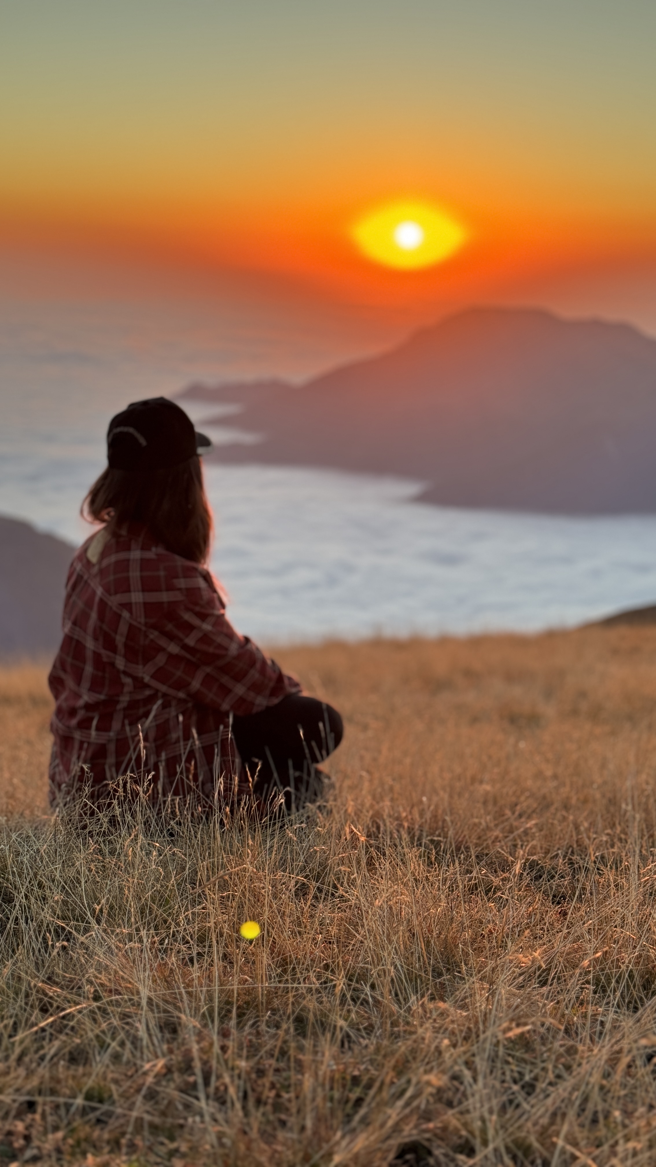 Дикий юг на седле