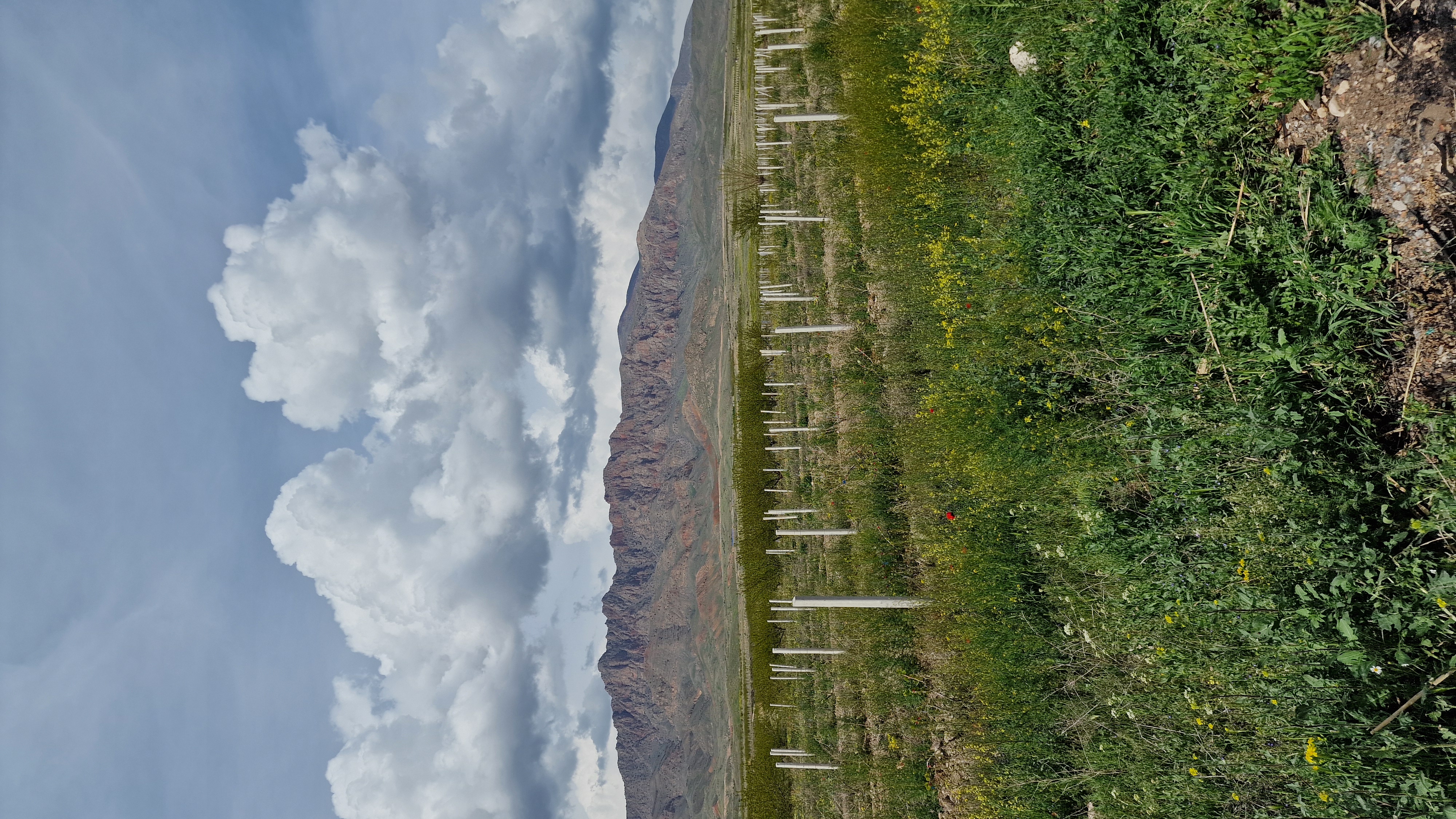 Премиум-тур в Армению (24/31)