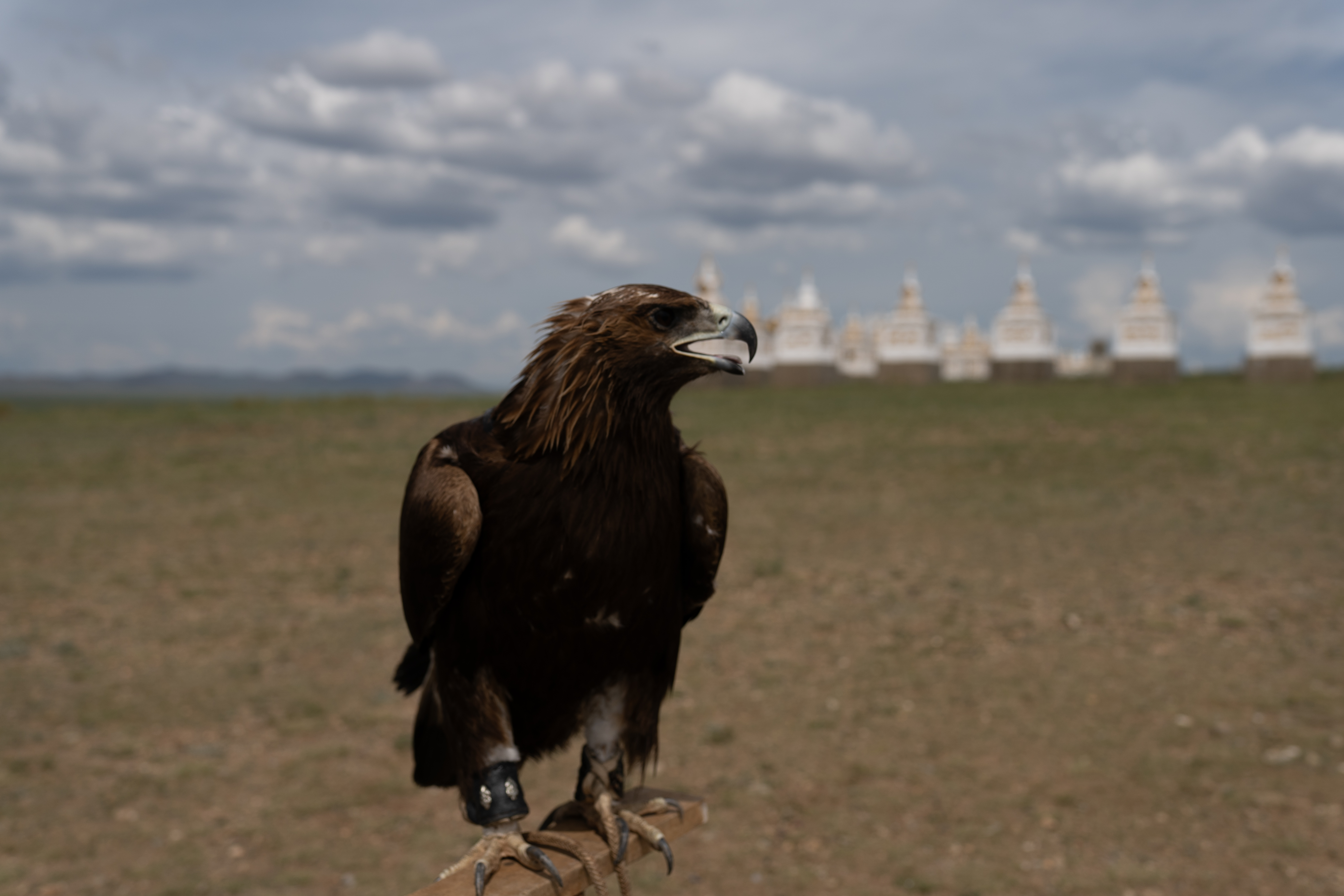 Современные кочевники - Большое путешествие в Гоби (60/64)