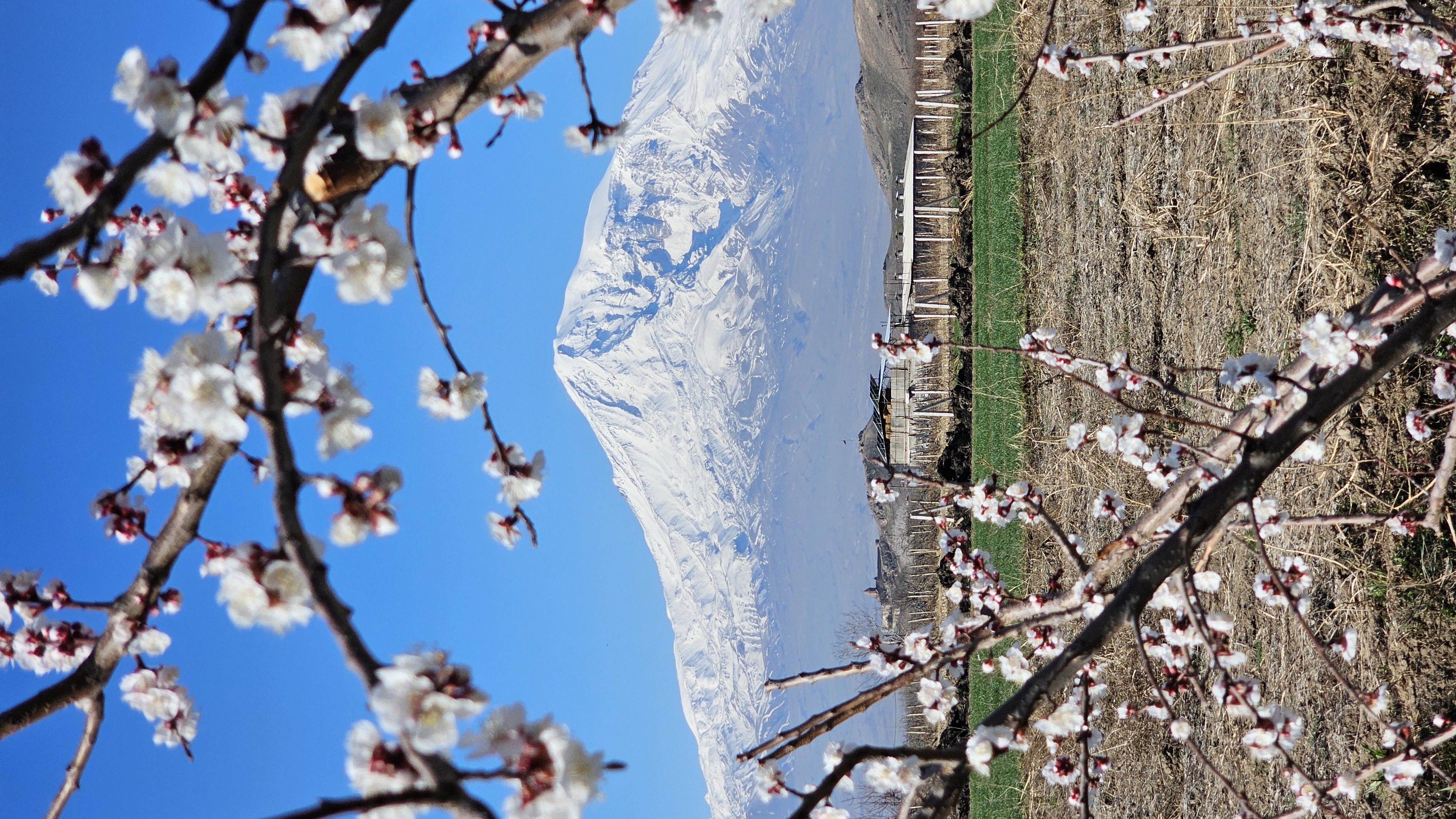 Премиум-тур в Армению (22/31)