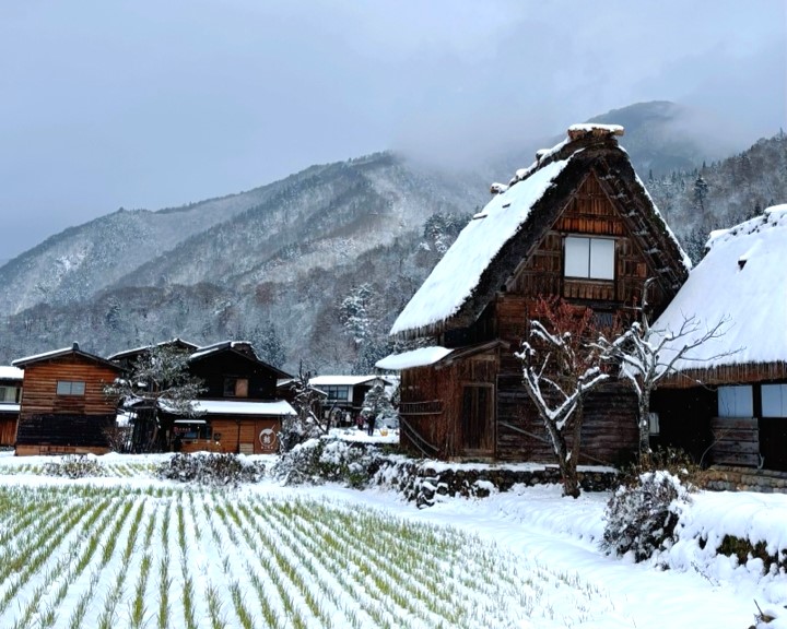 Охота за красными клёнами. Тур в Японию (5/43)