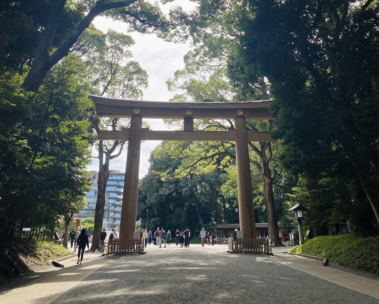 Охота за красными клёнами. Тур в Японию (14/43)