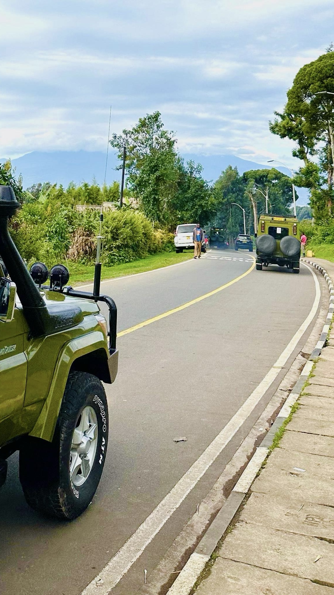 8 Days Kigali, Akagera And Volcanoes National Park Circuit (15/22)