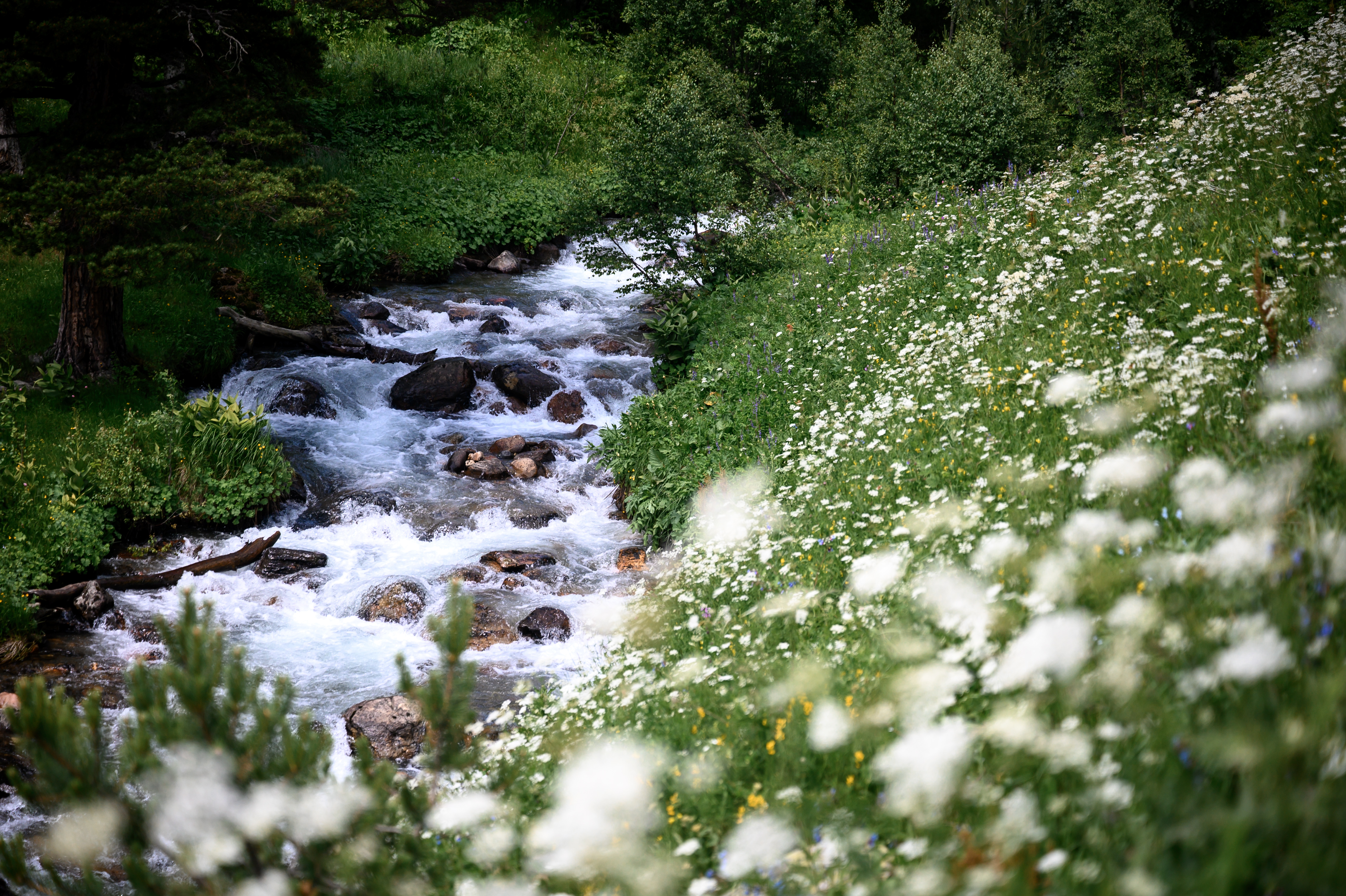 Архыз: Тренировки среди озер и перевалов (5/12)