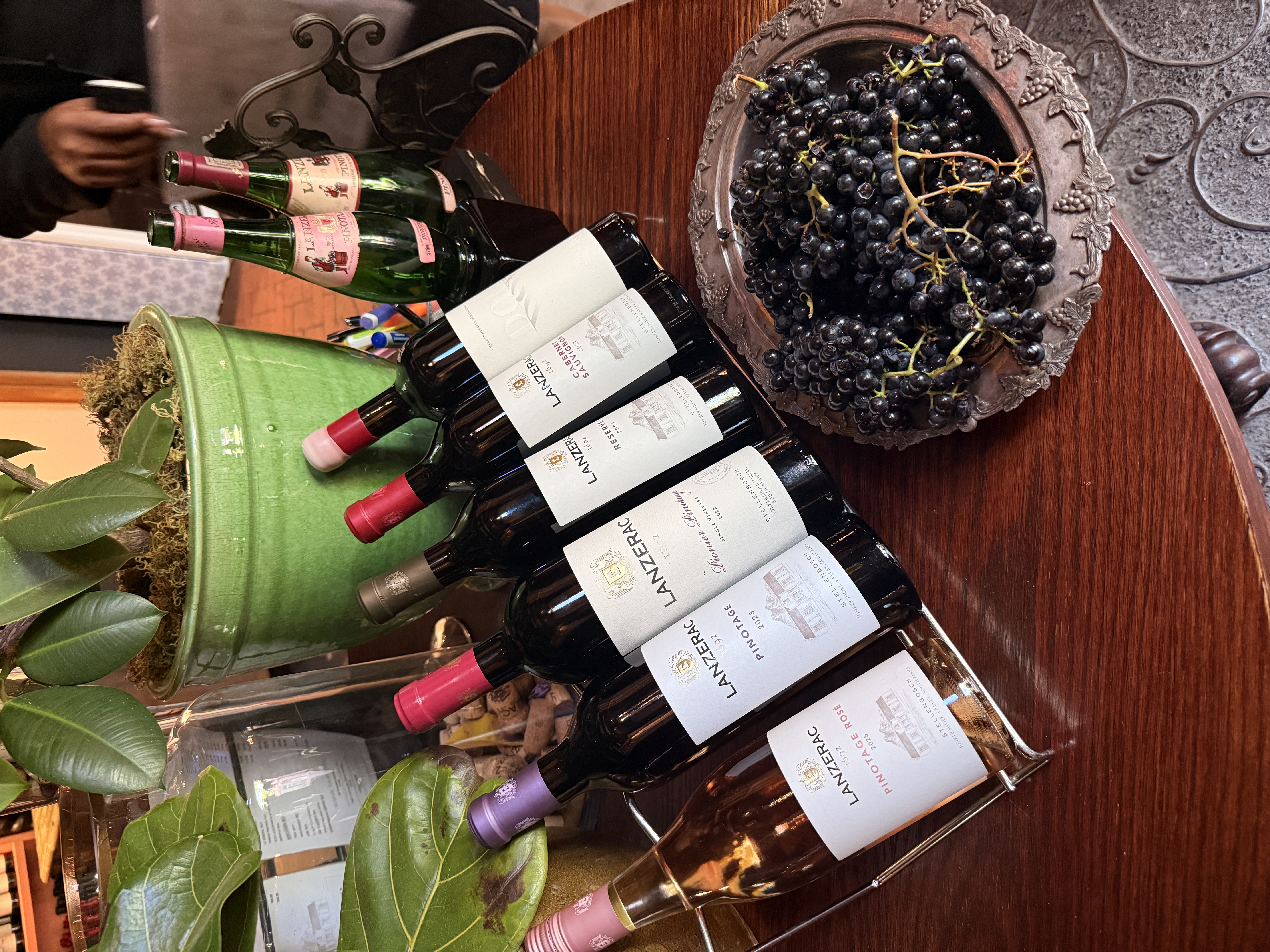 Юар: мыс Доброй Надежды, Столовая гора, пингвины, винодельни, гепарды (66/69)