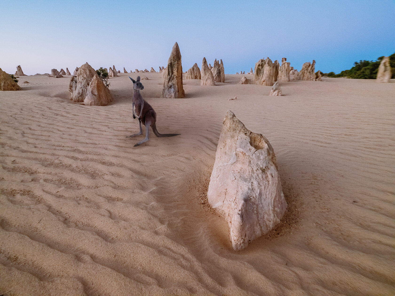 Австралия: от Запада до Востока (7/36)
