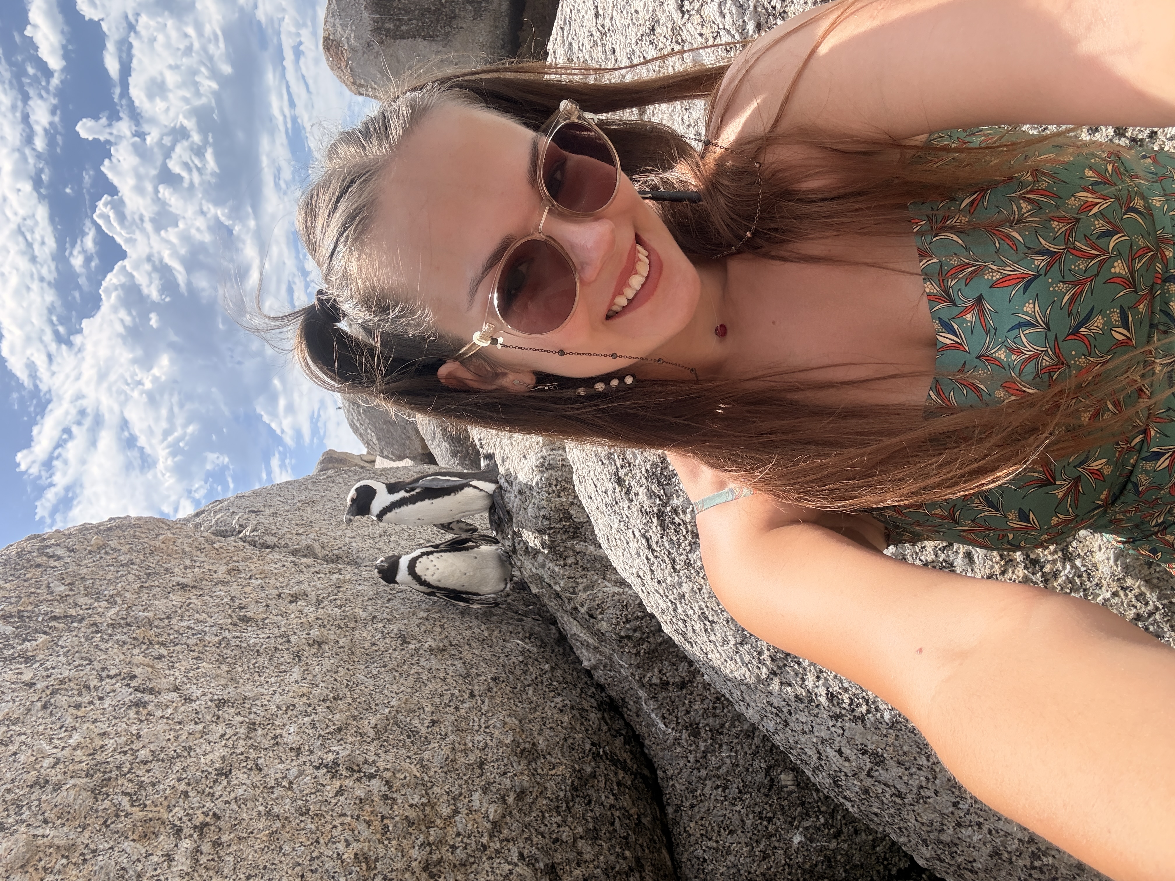 Юар: мыс Доброй Надежды, Столовая гора, пингвины, винодельни, гепарды (40/69)