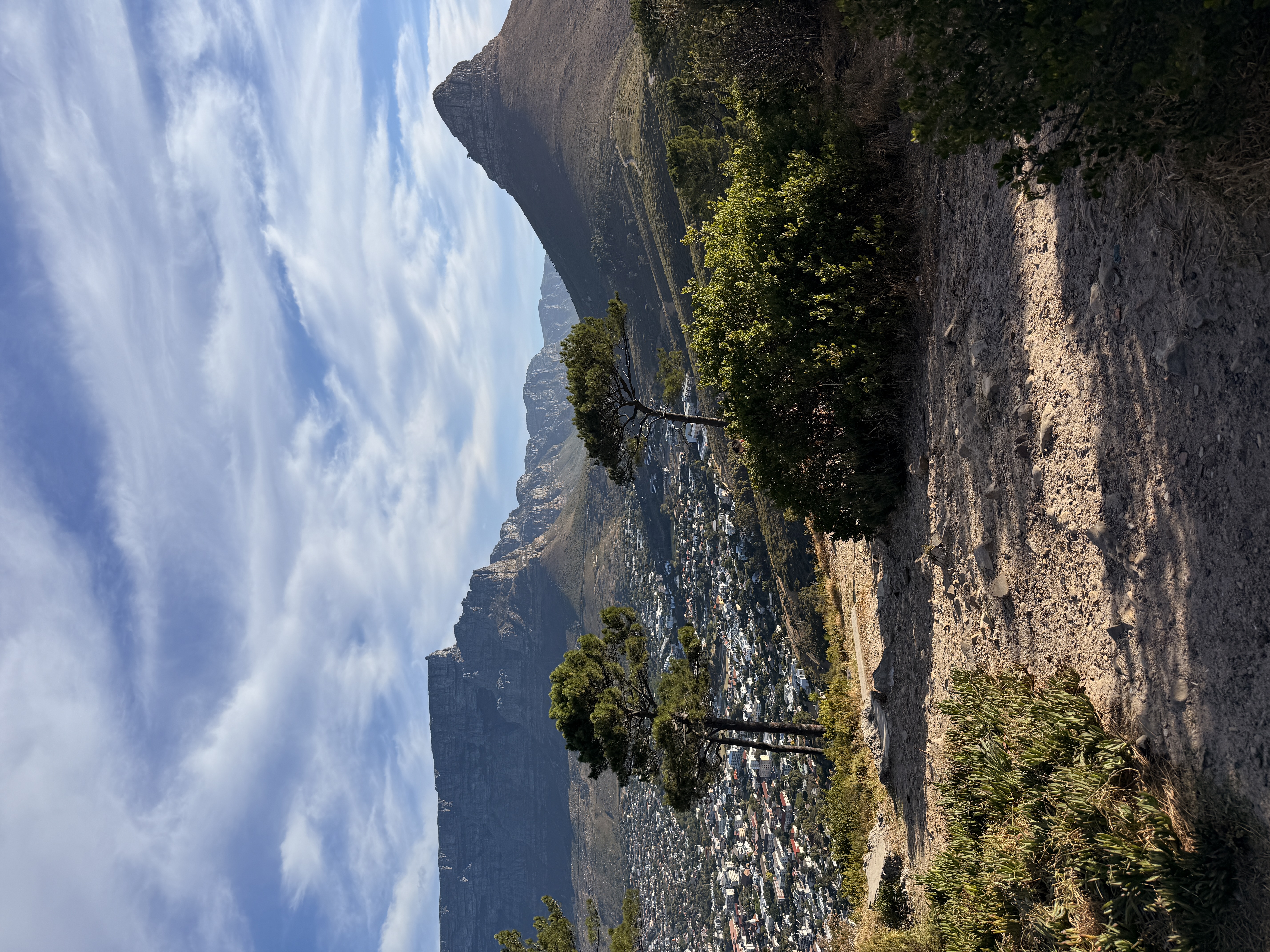 Юар: мыс Доброй Надежды, Столовая гора, пингвины, винодельни, гепарды (12/69)