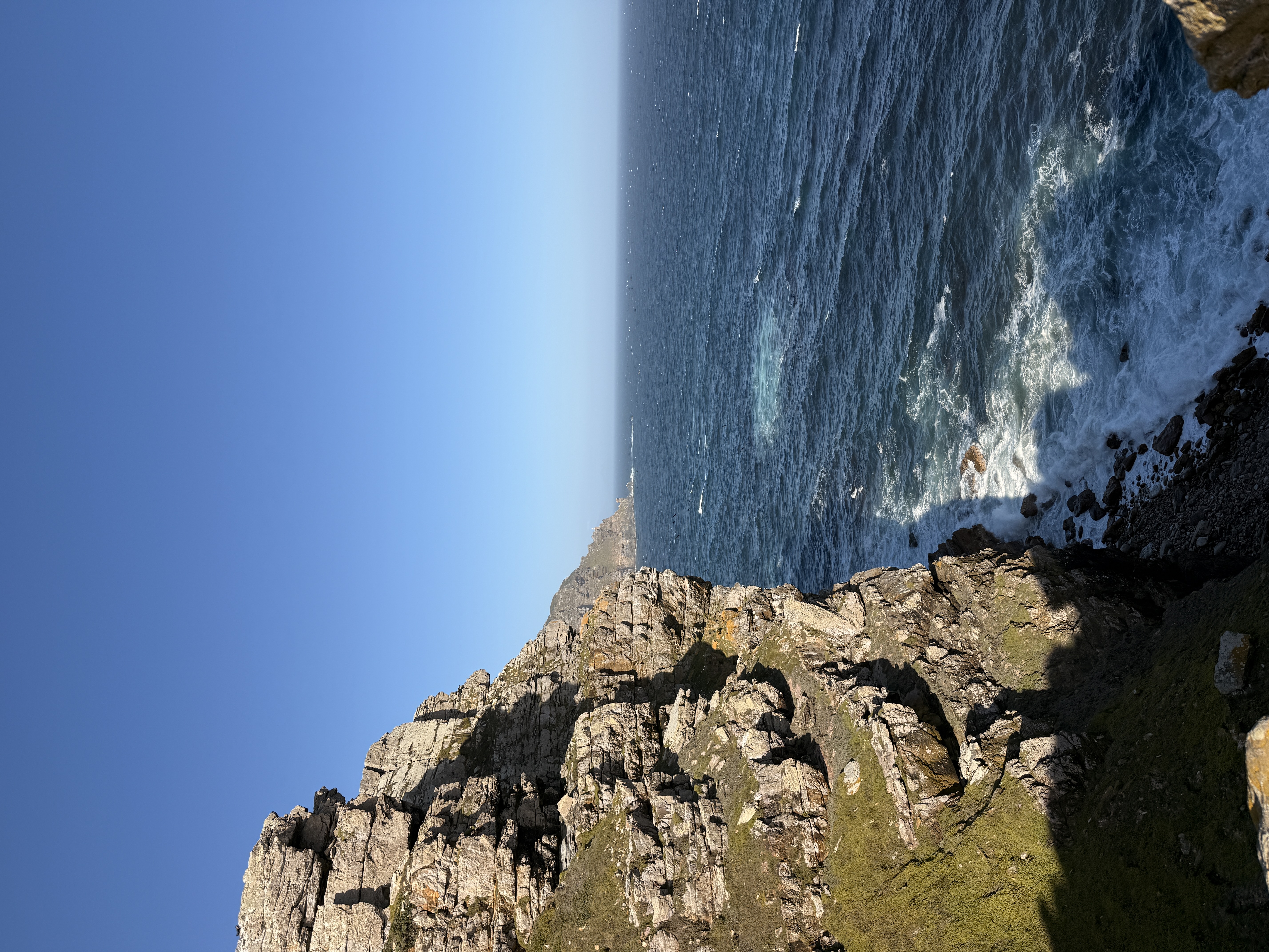 Юар: мыс Доброй Надежды, Столовая гора, пингвины, винодельни, гепарды (28/69)