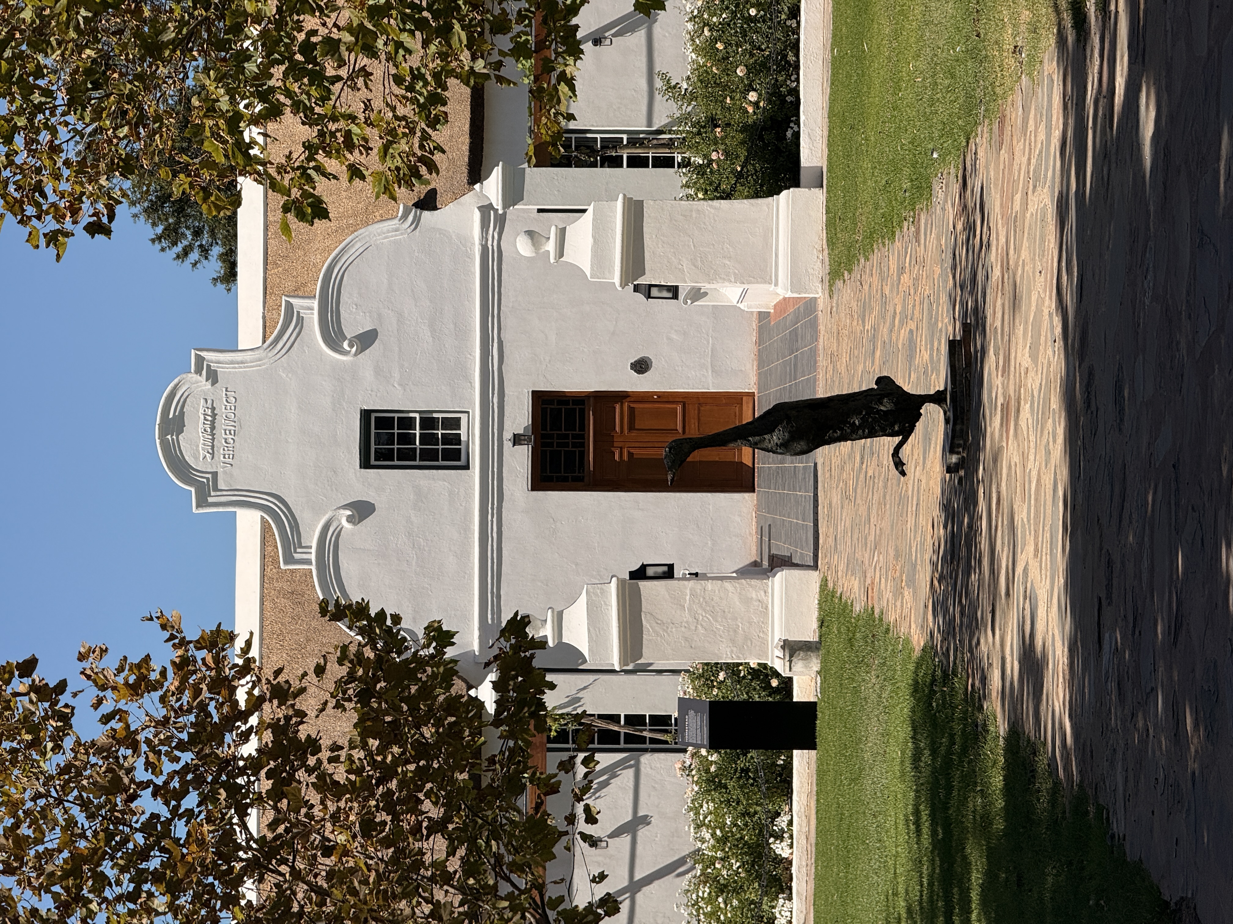 Юар: мыс Доброй Надежды, Столовая гора, пингвины, винодельни, гепарды (22/69)