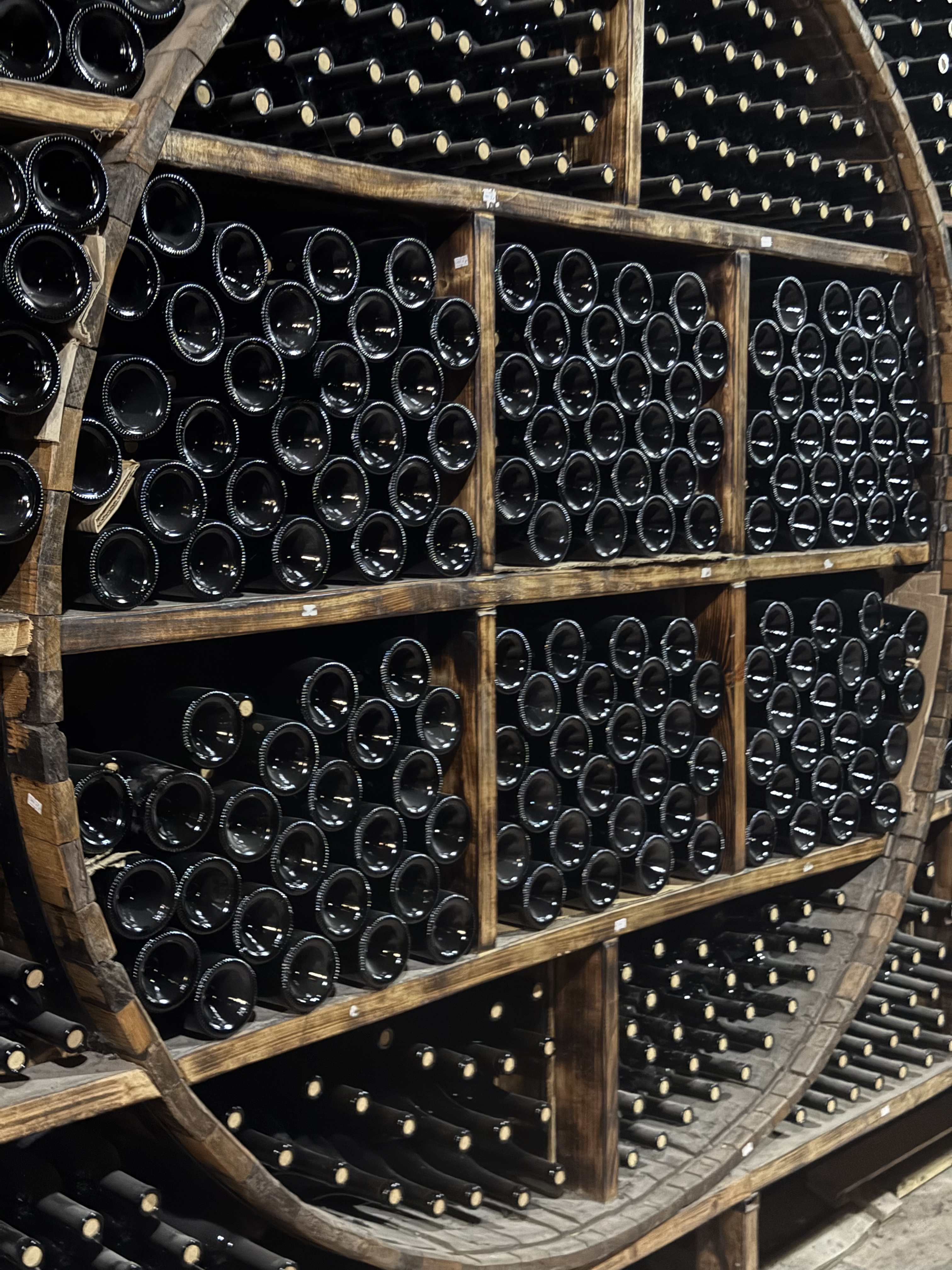 Винный фестиваль, армянское застолье, горы и концерт Лары Фабиан (27/131)