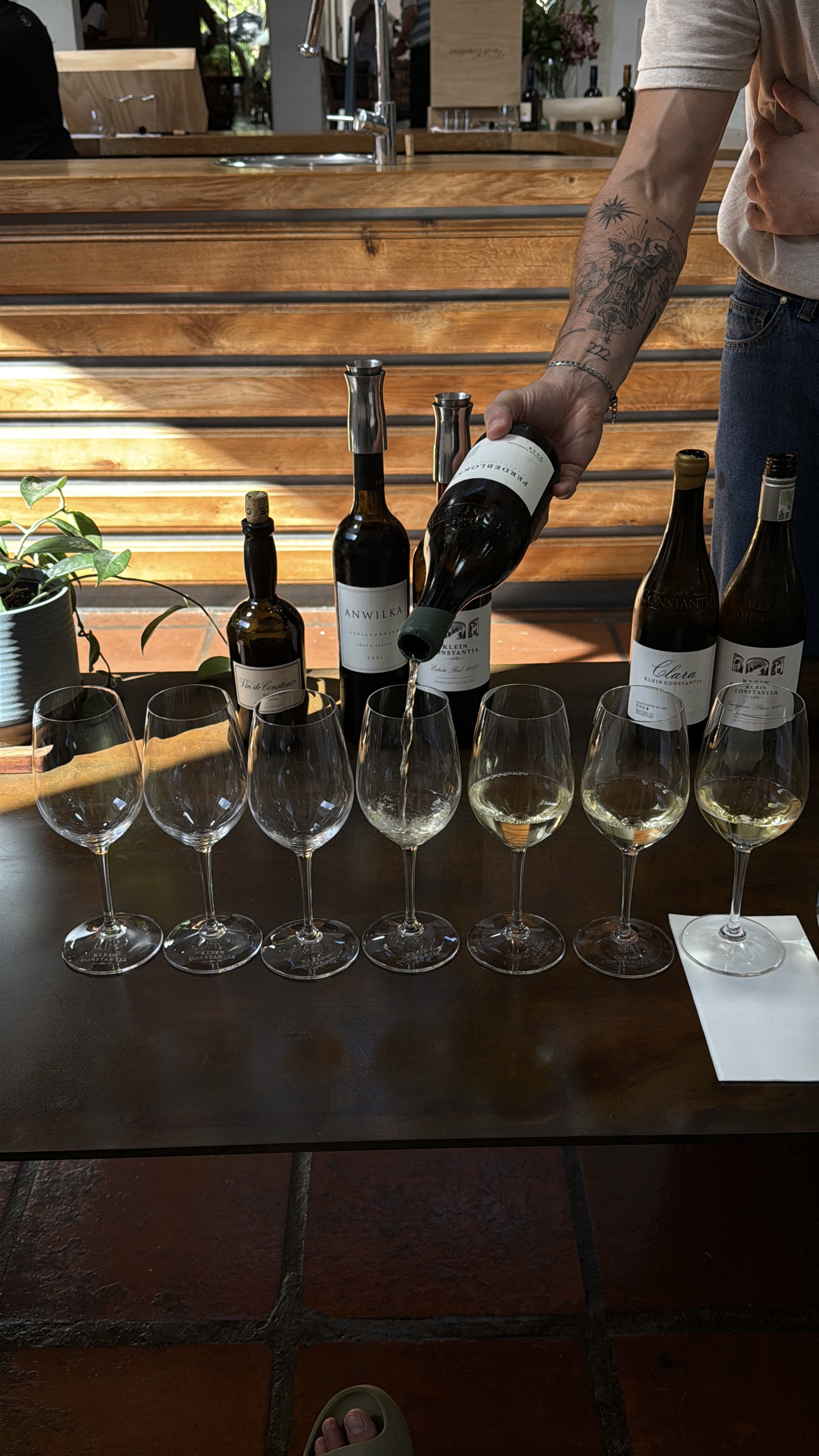 Юар: мыс Доброй Надежды, Столовая гора, пингвины, винодельни, гепарды (34/69)