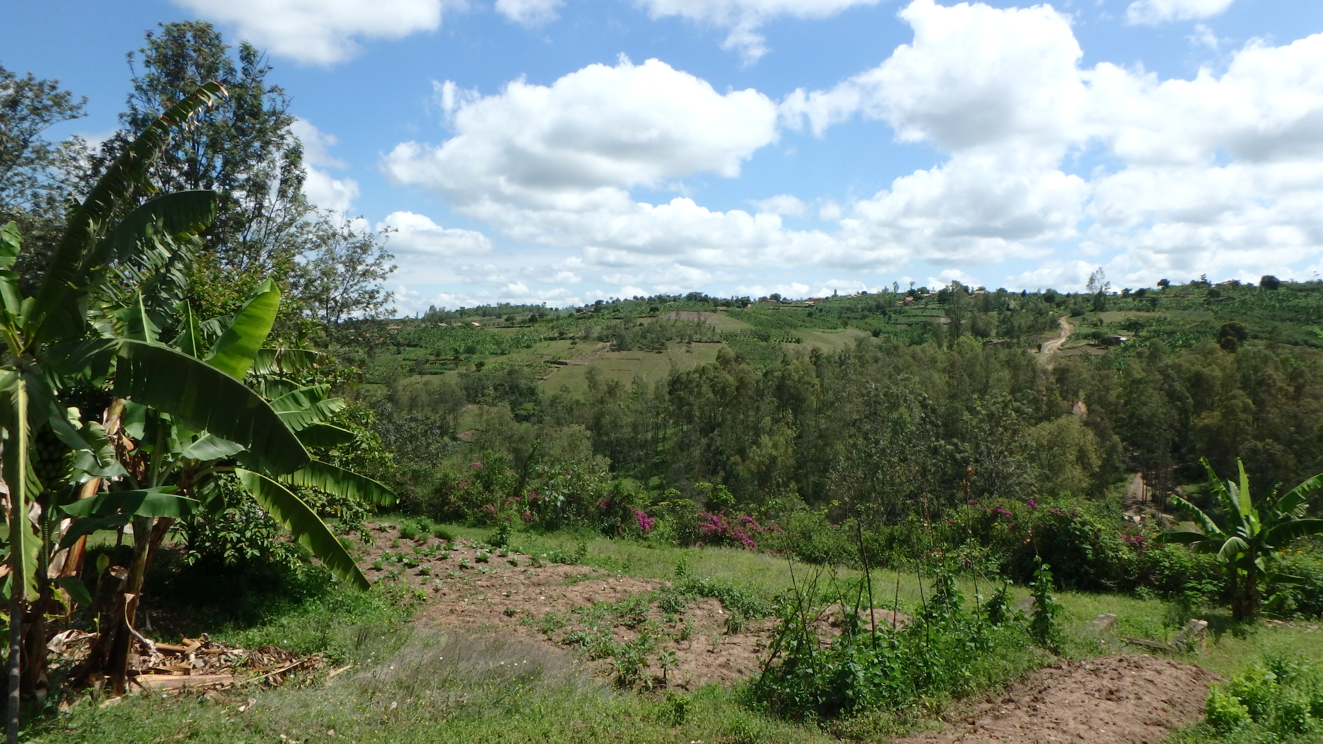10 Days Kigali, Nyungwe, Lake Kivu And Volcanoes Rwanda Adventure (5/26)