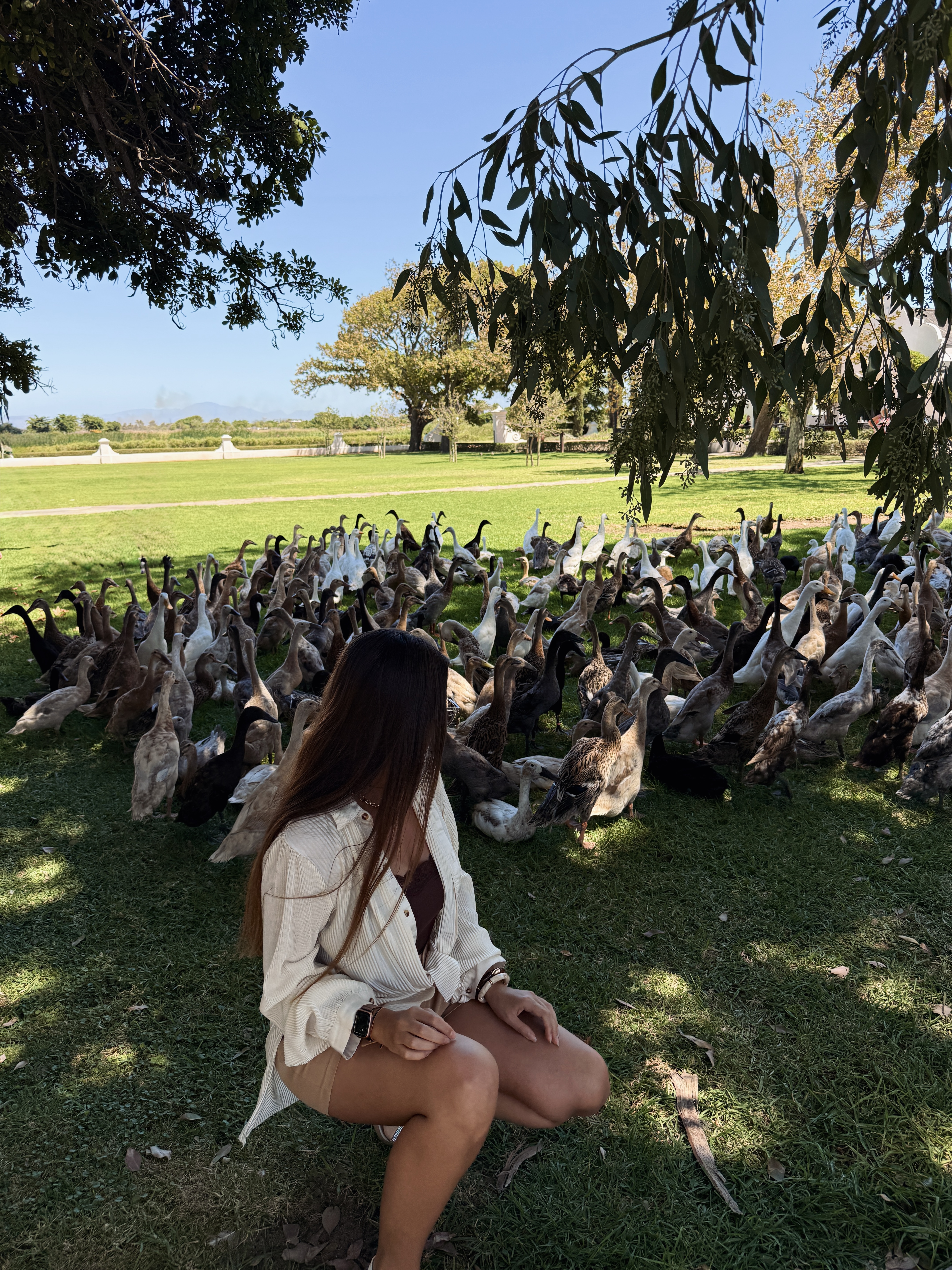 Юар: мыс Доброй Надежды, Столовая гора, пингвины, винодельни, гепарды (23/69)