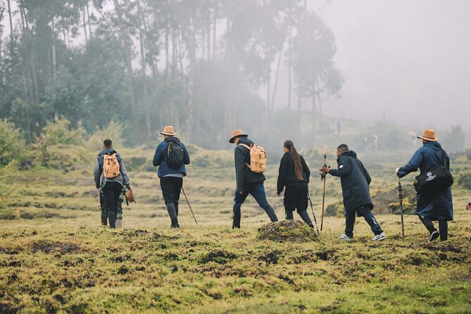 10 Days Kigali, Nyungwe, Lake Kivu And Volcanoes Rwanda Adventure (20/26)