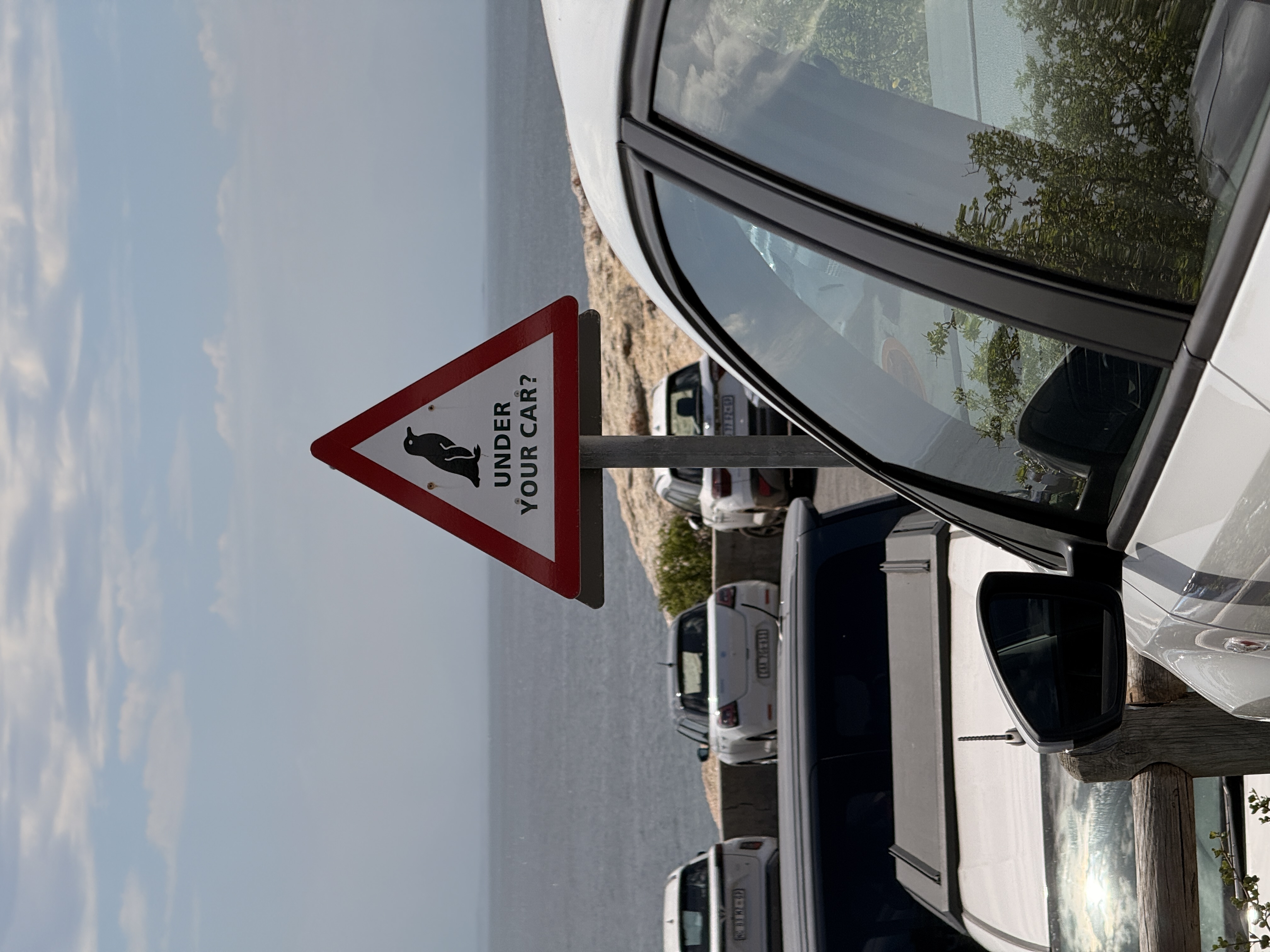 Юар: мыс Доброй Надежды, Столовая гора, пингвины, винодельни, гепарды (41/69)