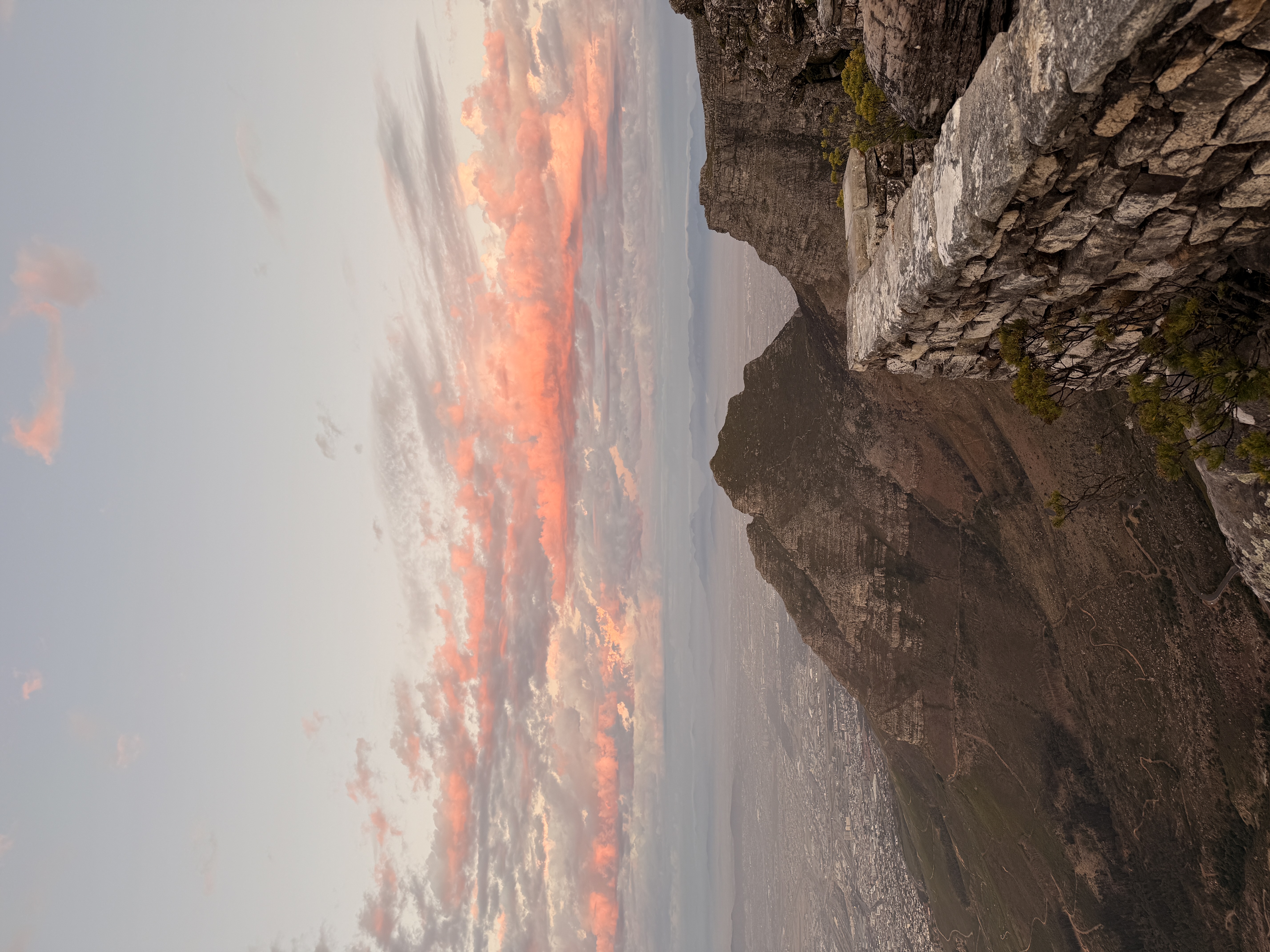 Юар: мыс Доброй Надежды, Столовая гора, пингвины, винодельни, гепарды (44/69)