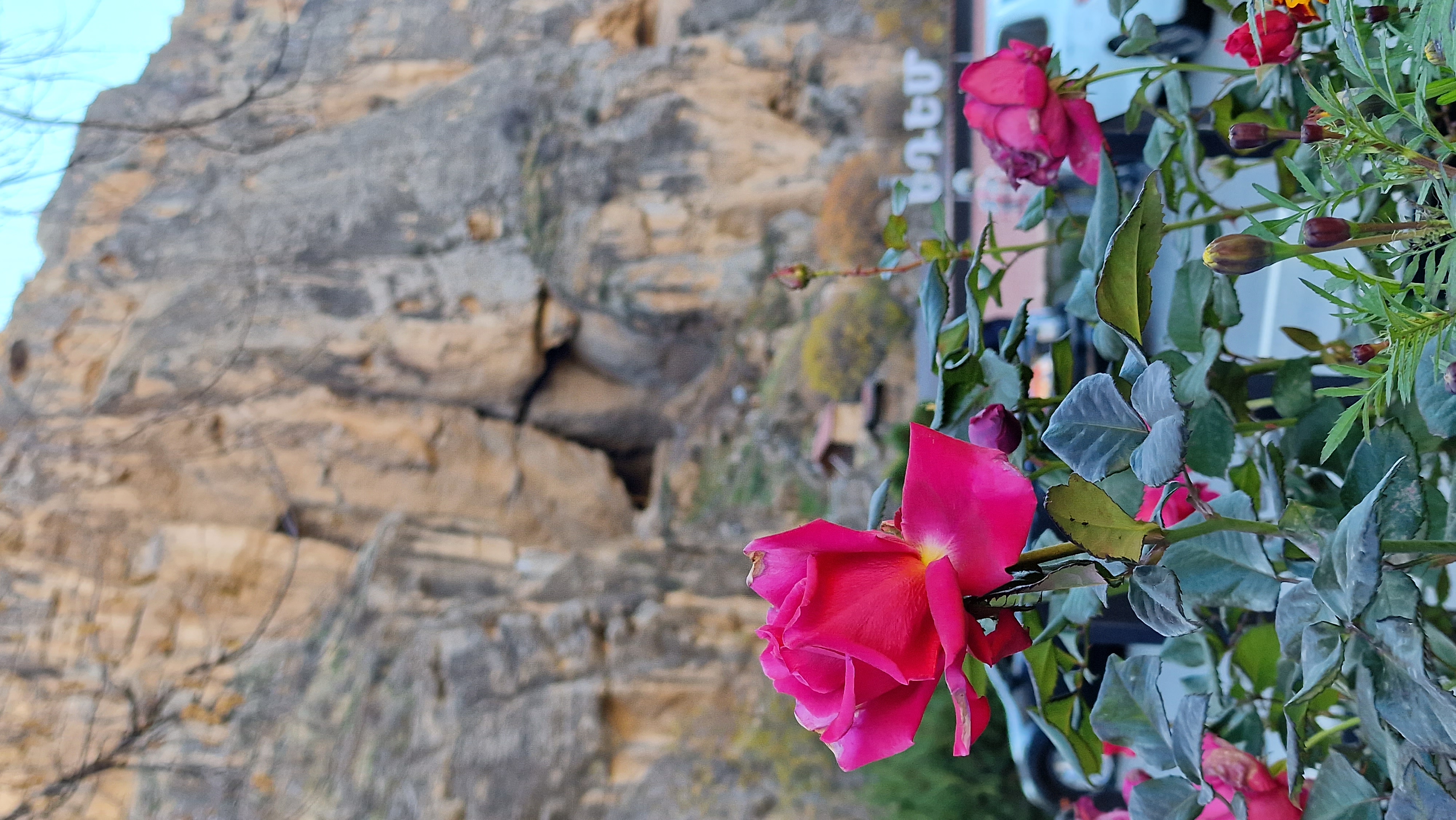 Экспедиция в Армению (14/22)