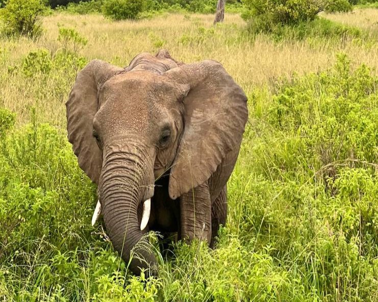Бюджетный тур в Кению на 5 дней с подбором авиабилетов (15/20)