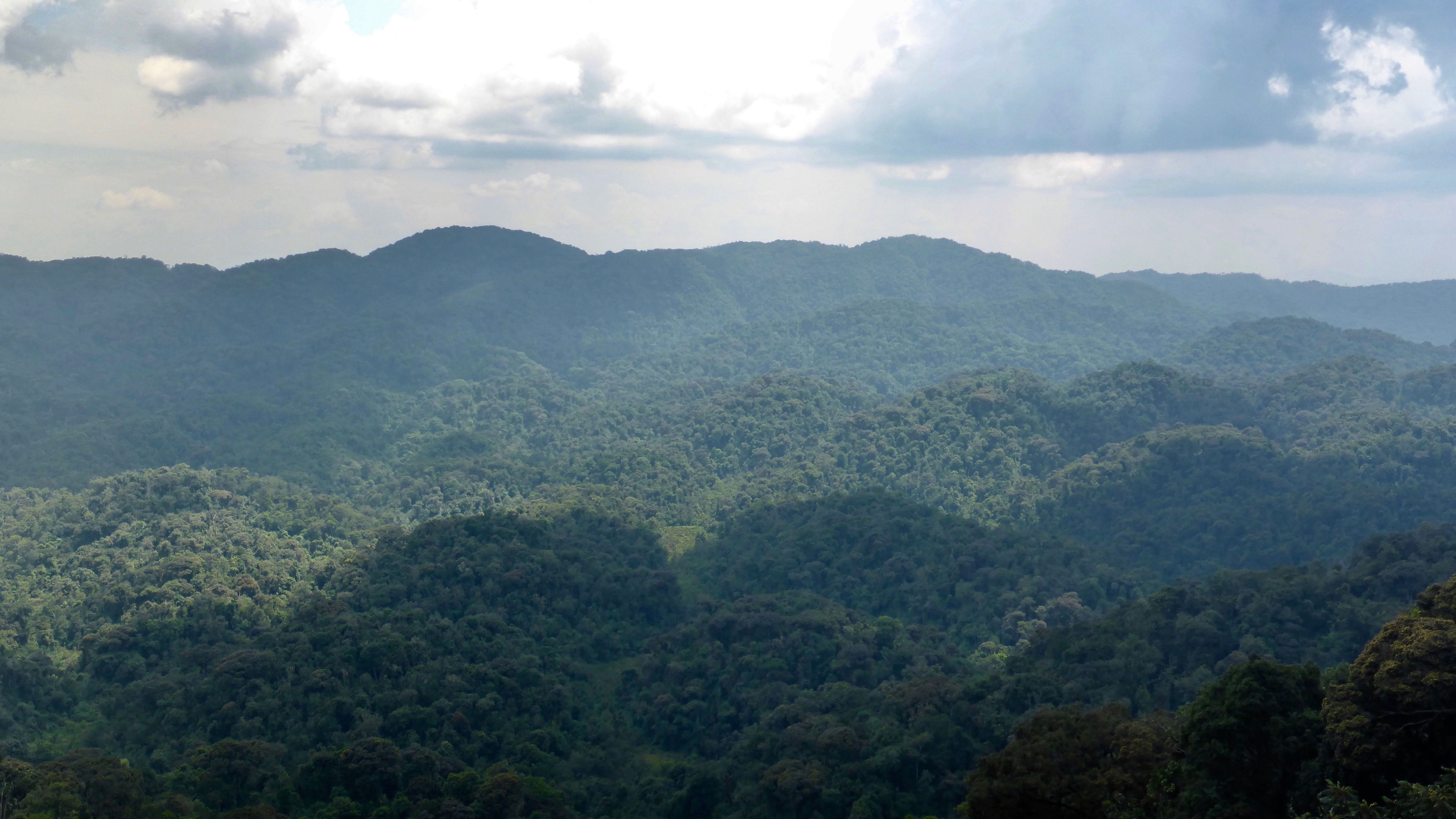 10 Days Kigali, Nyungwe, Lake Kivu And Volcanoes Rwanda Adventure (7/26)
