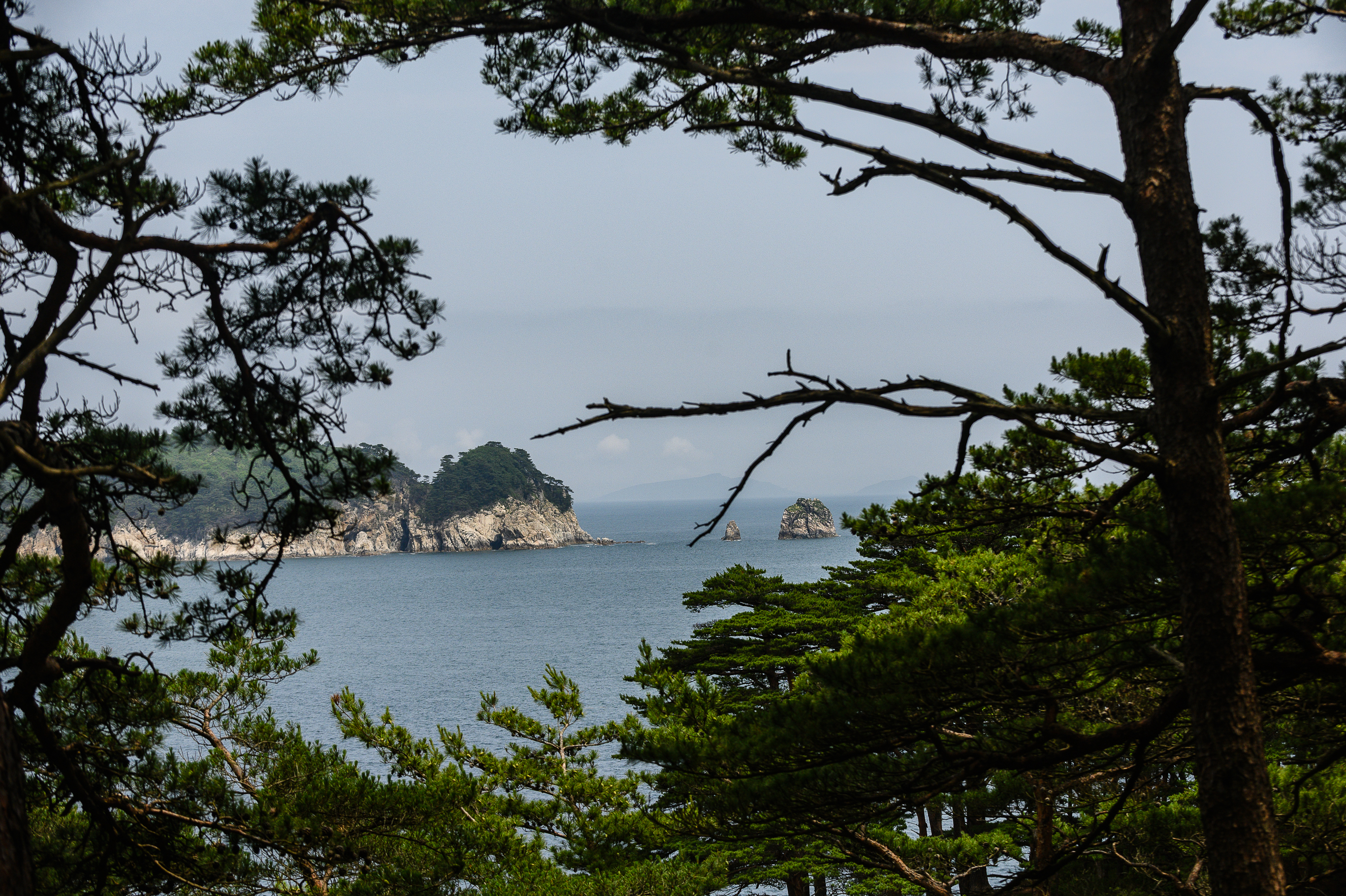 На краю земли: Тренировочный тур на Сахалин (5/9)