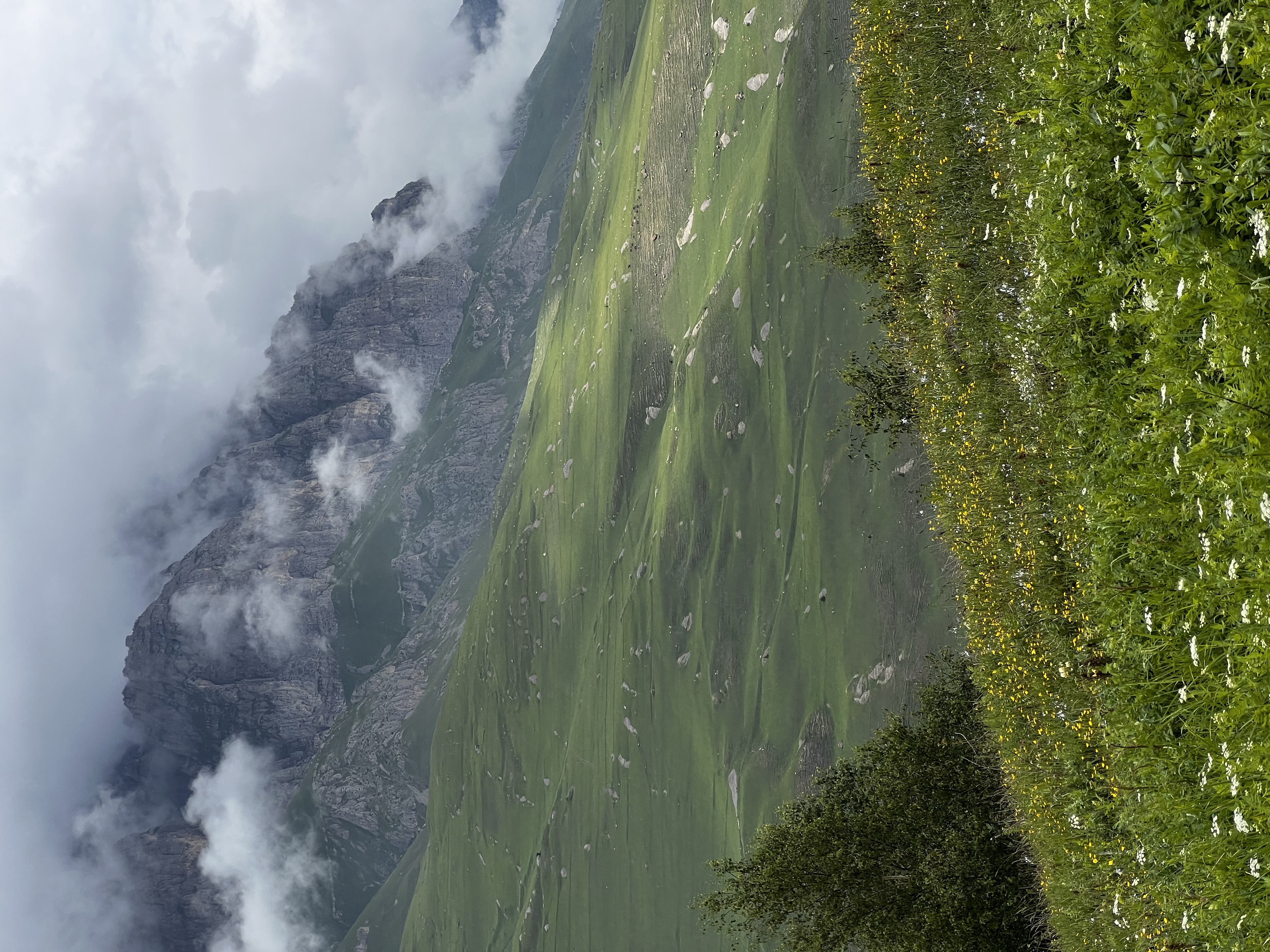 Комфорт тур в Осетию.Проведи 4 дня в самом сердце гор Кавказа (24/32)