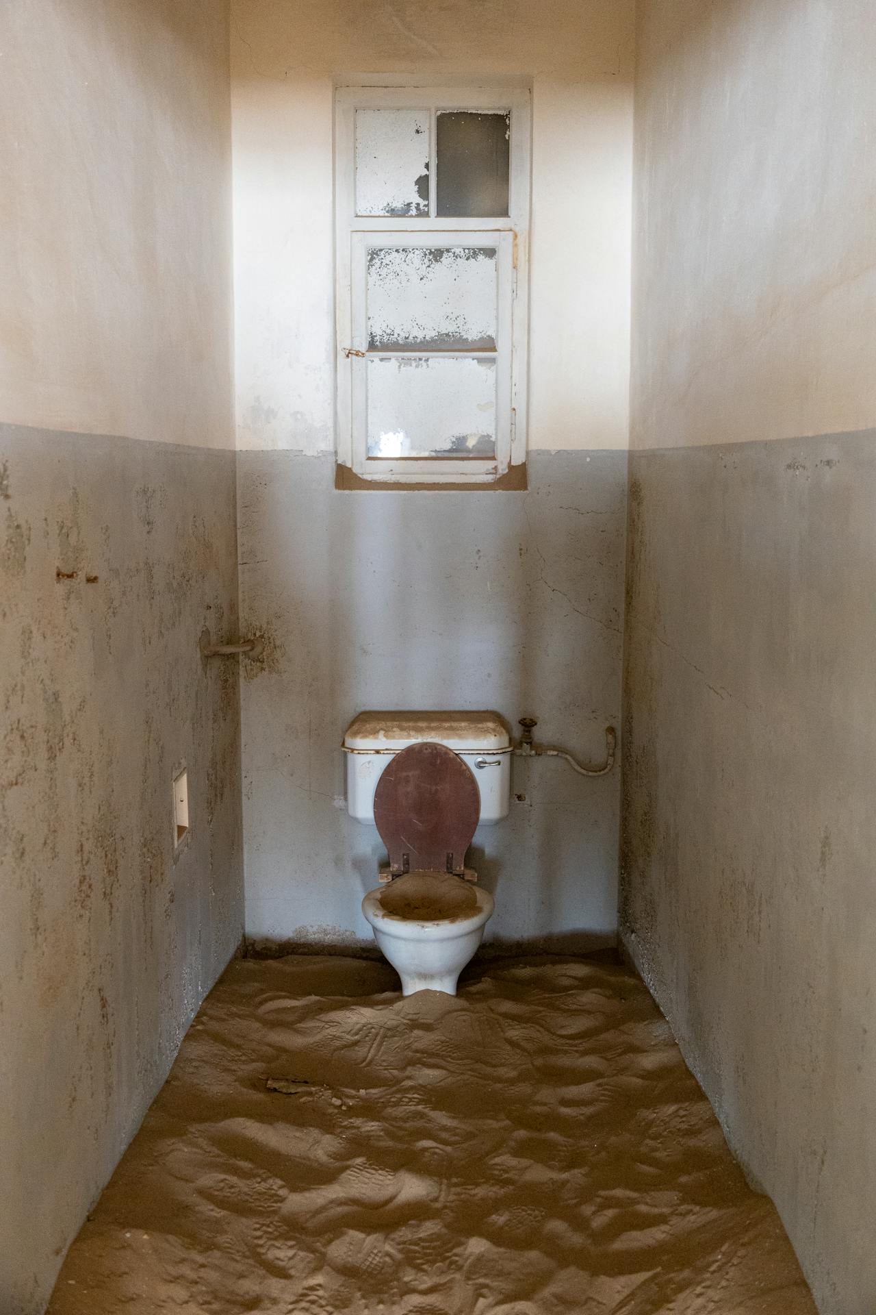 Намибия + Замбия + Зимбабве + Ботсвана (23/46)