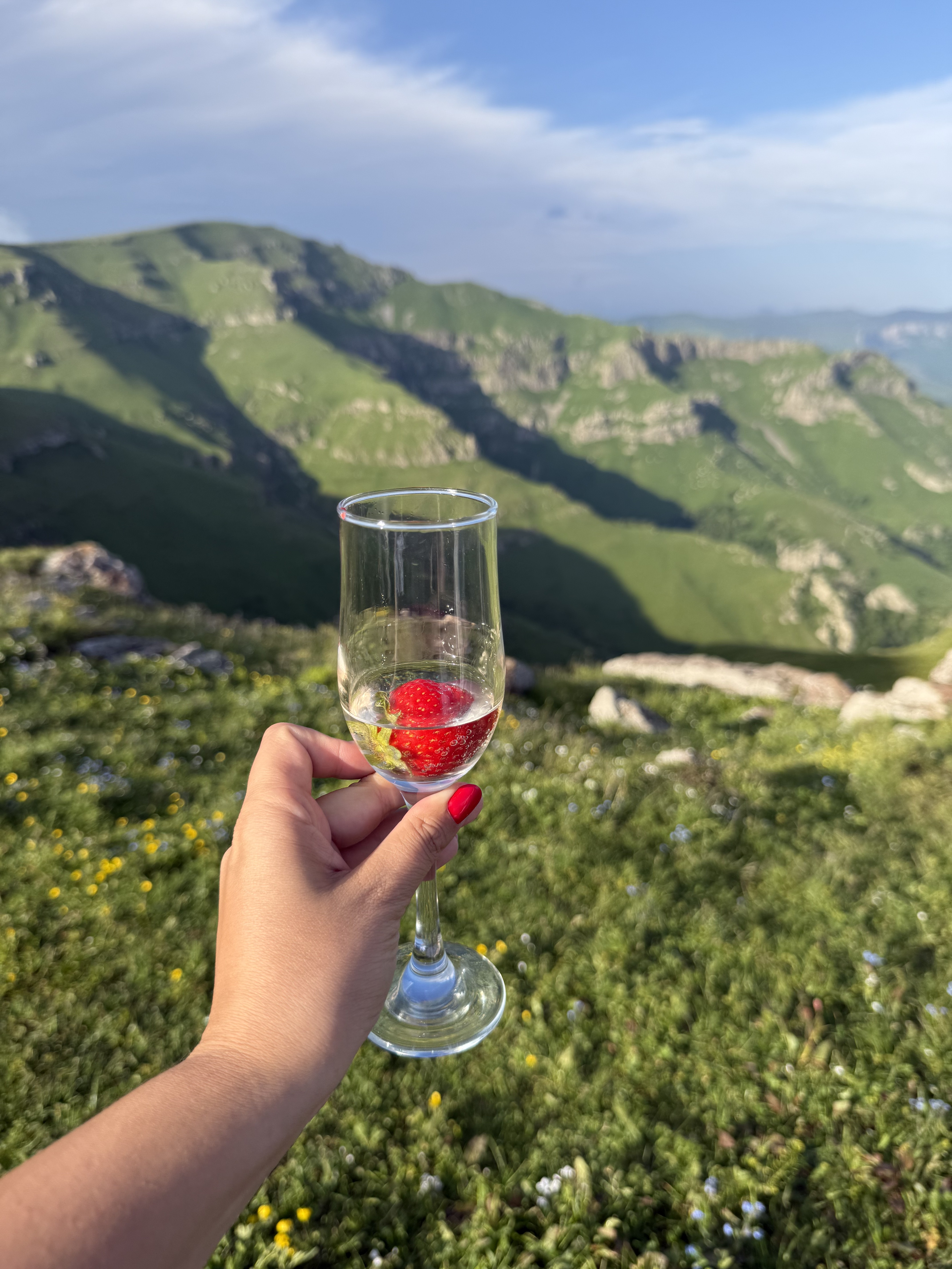 Винный фестиваль, армянское застолье, горы и концерт Лары Фабиан (109/131)