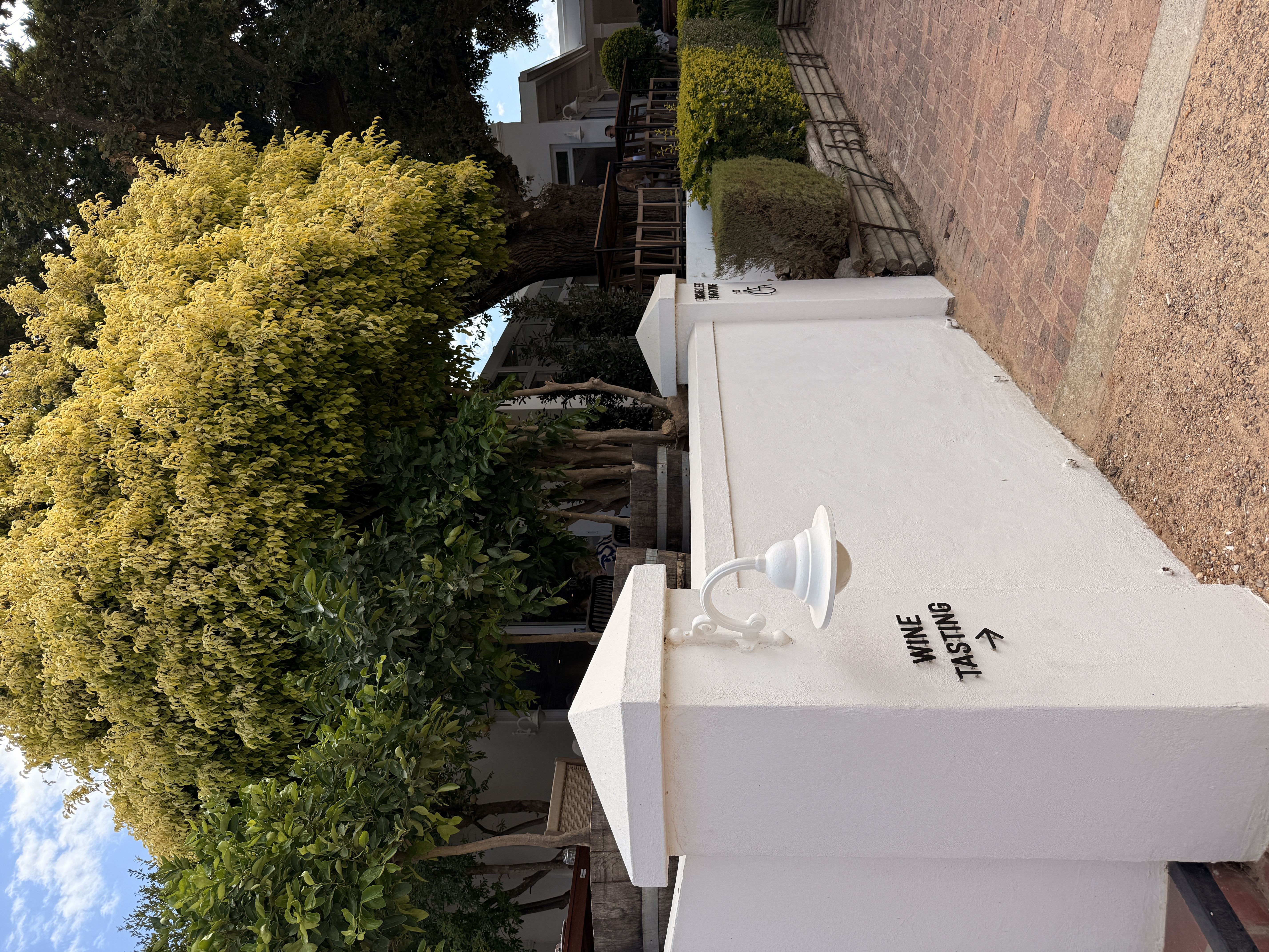 Юар: мыс Доброй Надежды, Столовая гора, пингвины, винодельни, гепарды (49/69)