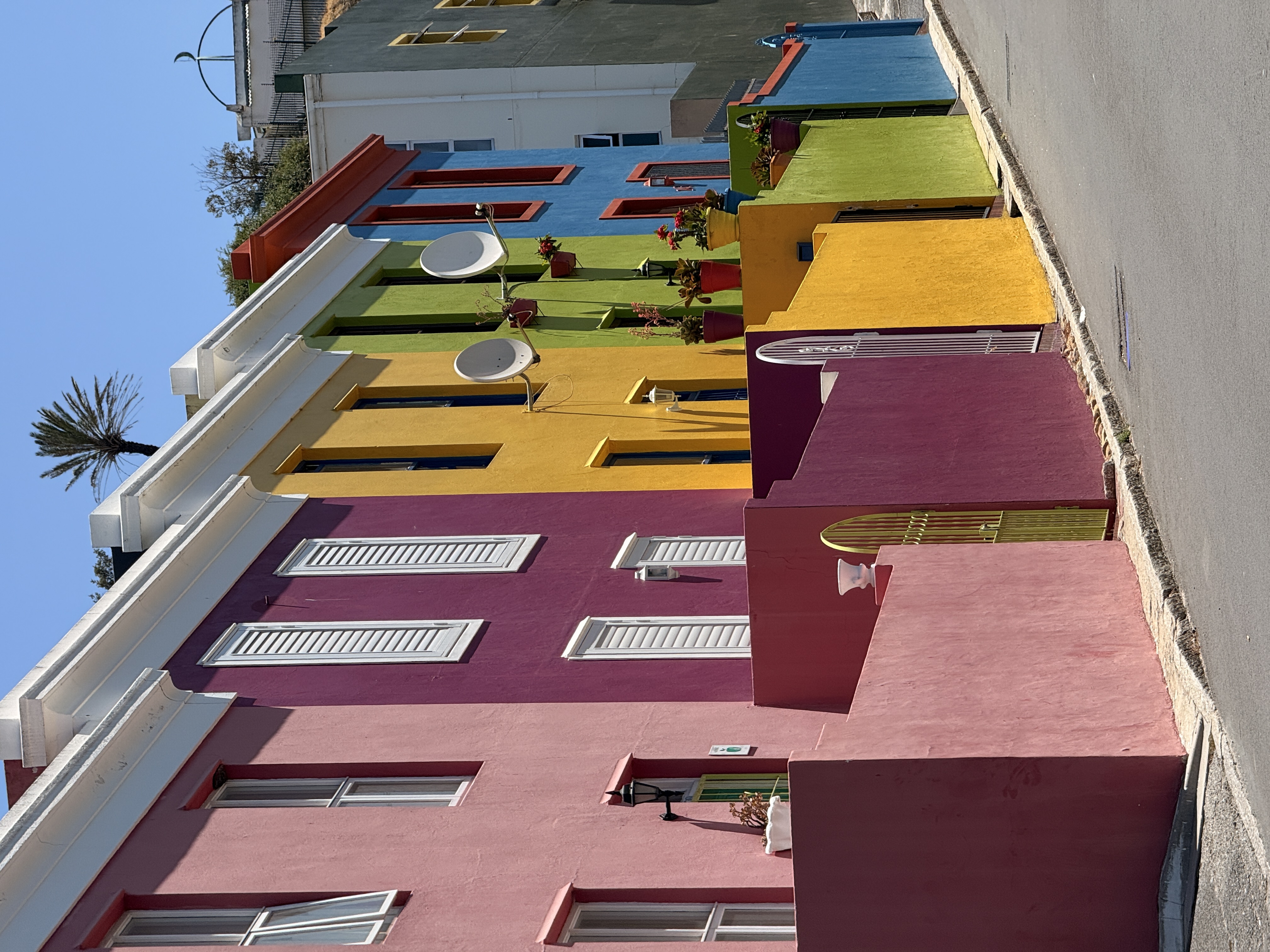 Юар: мыс Доброй Надежды, Столовая гора, пингвины, винодельни, гепарды (57/69)