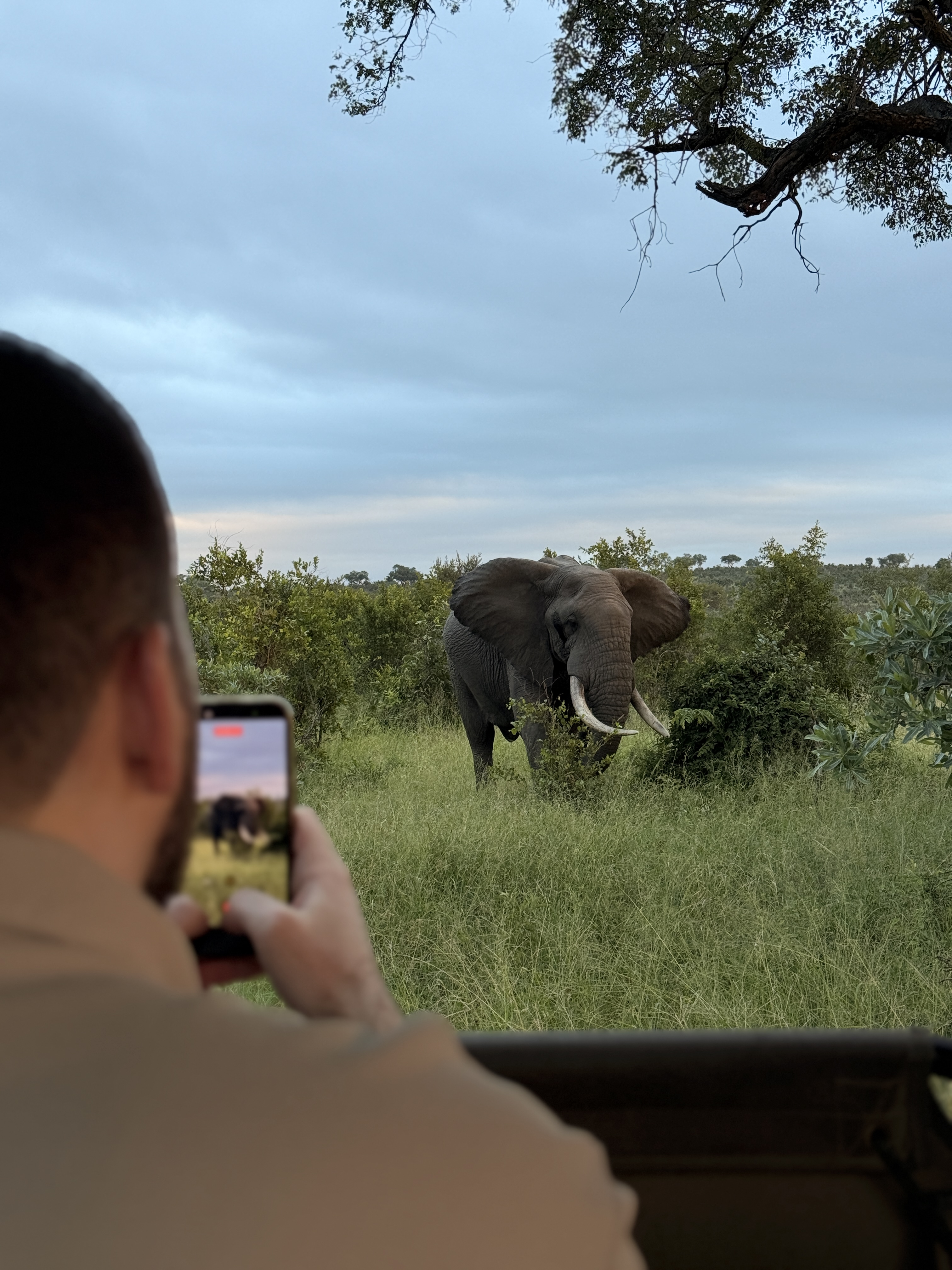 Юар: мыс Доброй Надежды, Столовая гора, пингвины, винодельни, гепарды (2/69)