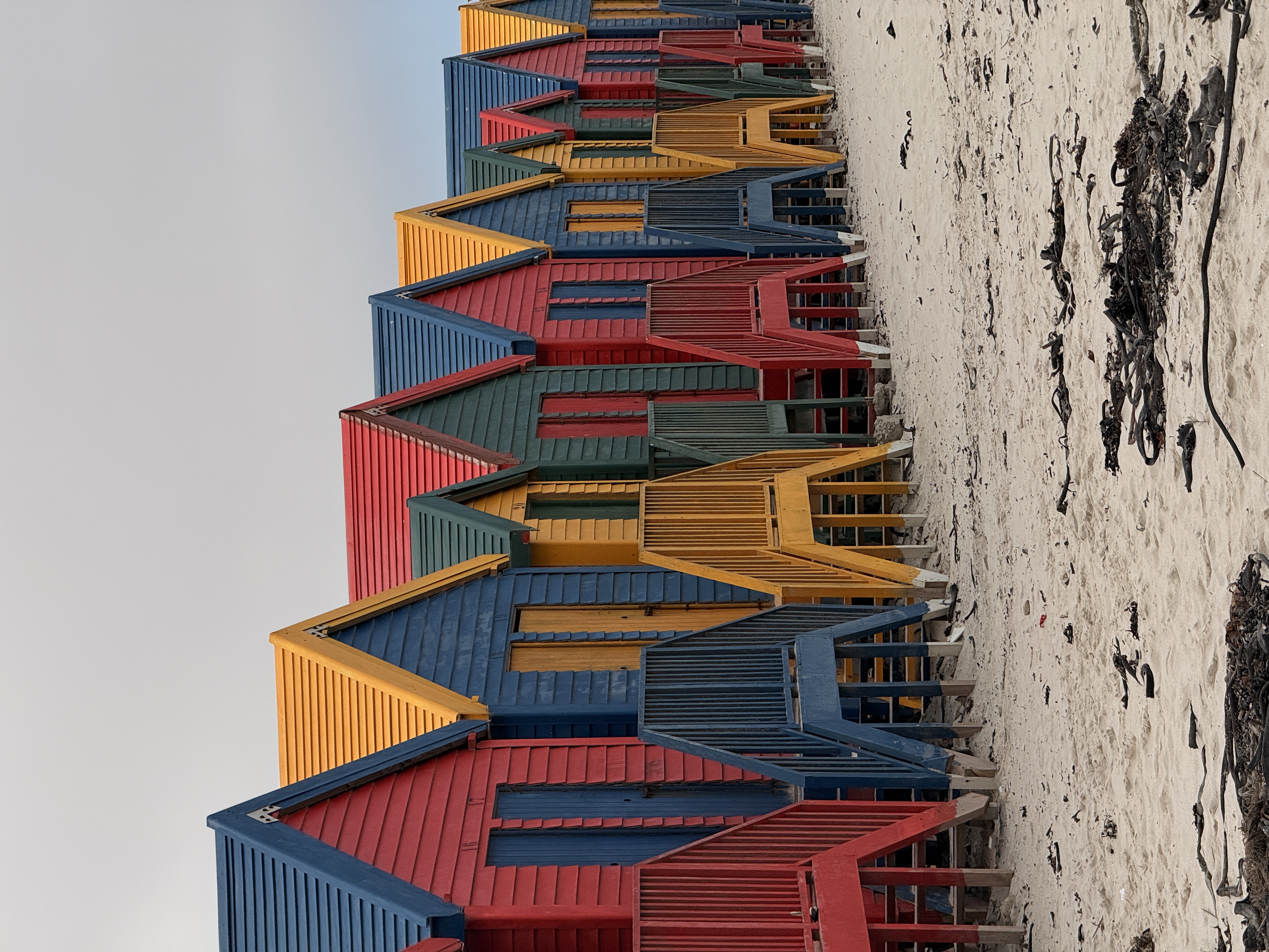 Юар: мыс Доброй Надежды, Столовая гора, пингвины, винодельни, гепарды (26/69)