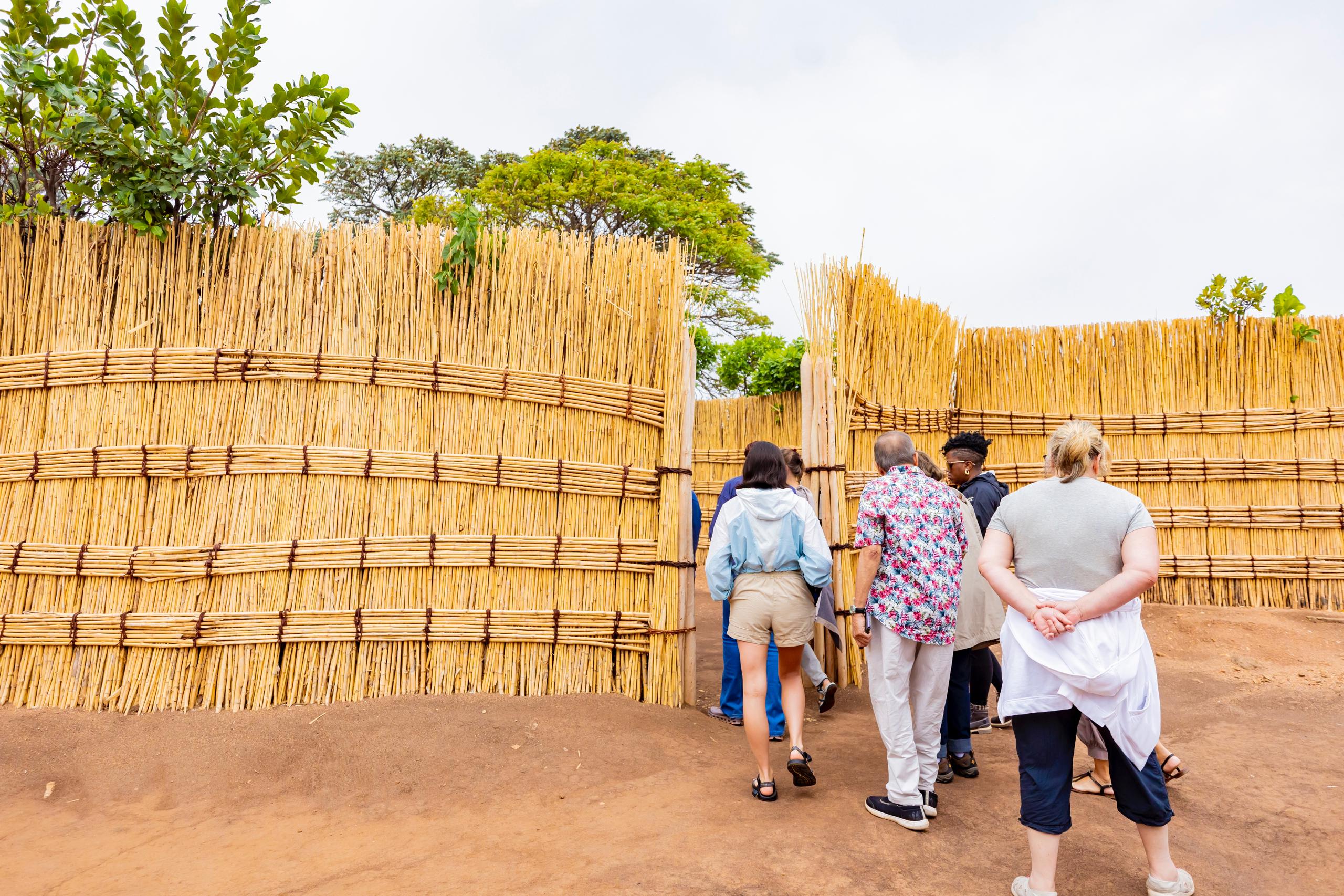 10 Days Kigali, Nyungwe, Lake Kivu And Volcanoes Rwanda Adventure (6/26)