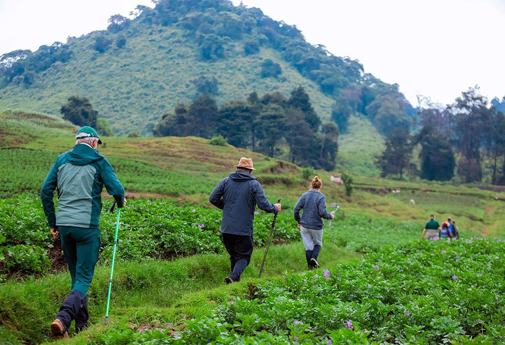 10 Days Kigali, Nyungwe, Lake Kivu And Volcanoes Rwanda Adventure (21/26)