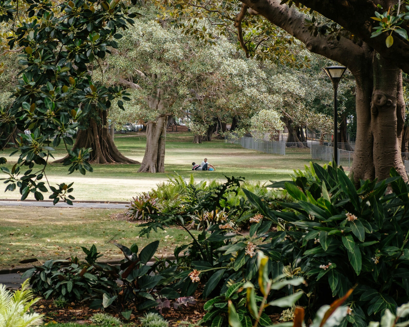 Австралия: от Запада до Востока (33/36)