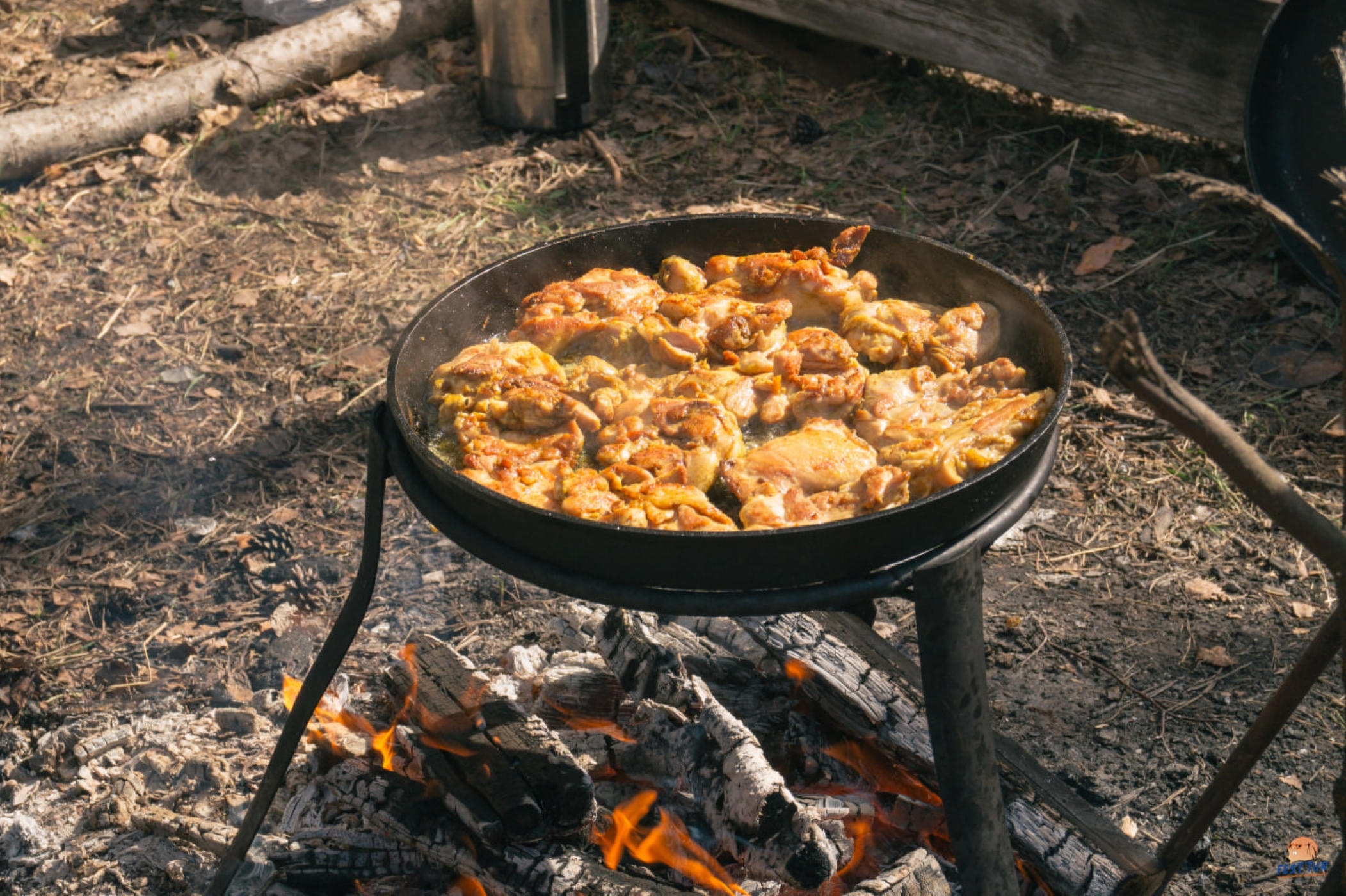 Сплав по таежной реке Юшут! (13/20)