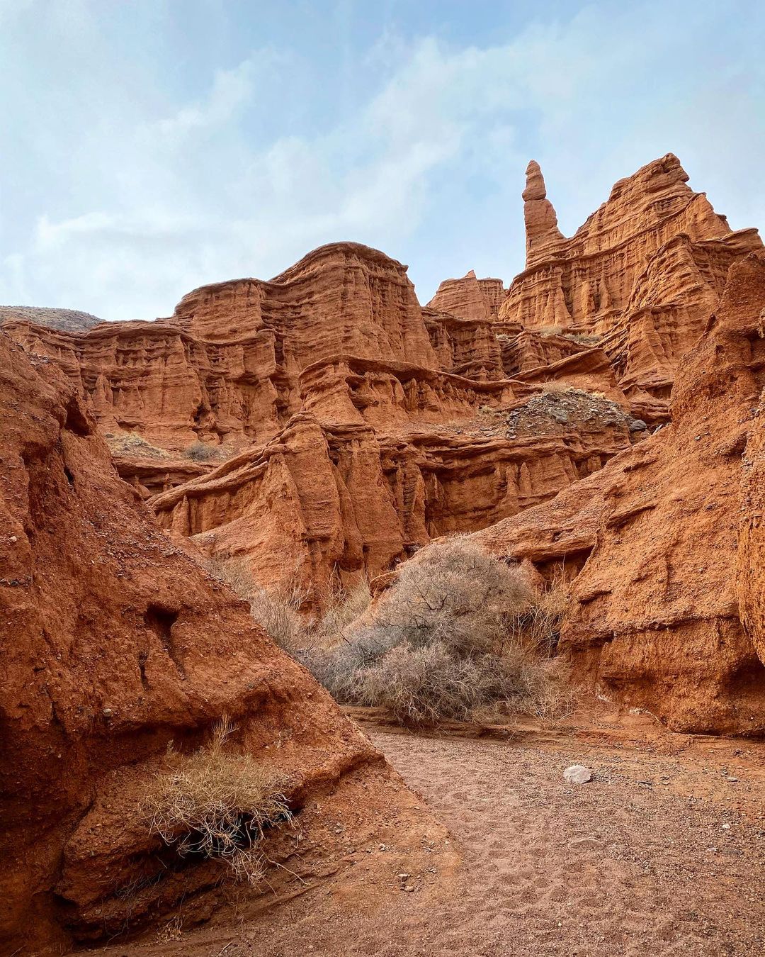 Озёра небесных гор: Сон-Куль и Иссык-Куль за 7 дней (11/22)