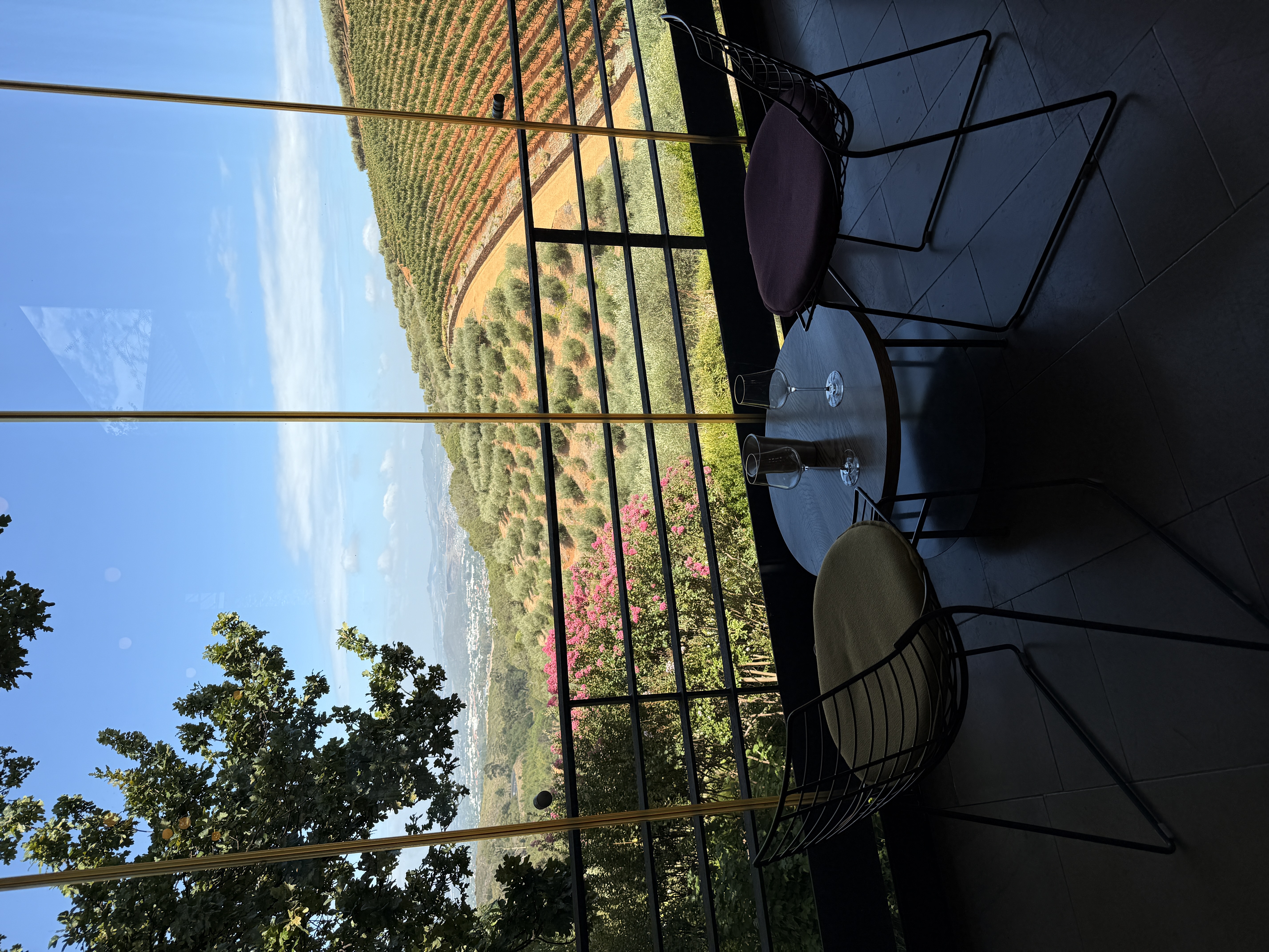 Юар: мыс Доброй Надежды, Столовая гора, пингвины, винодельни, гепарды (47/69)