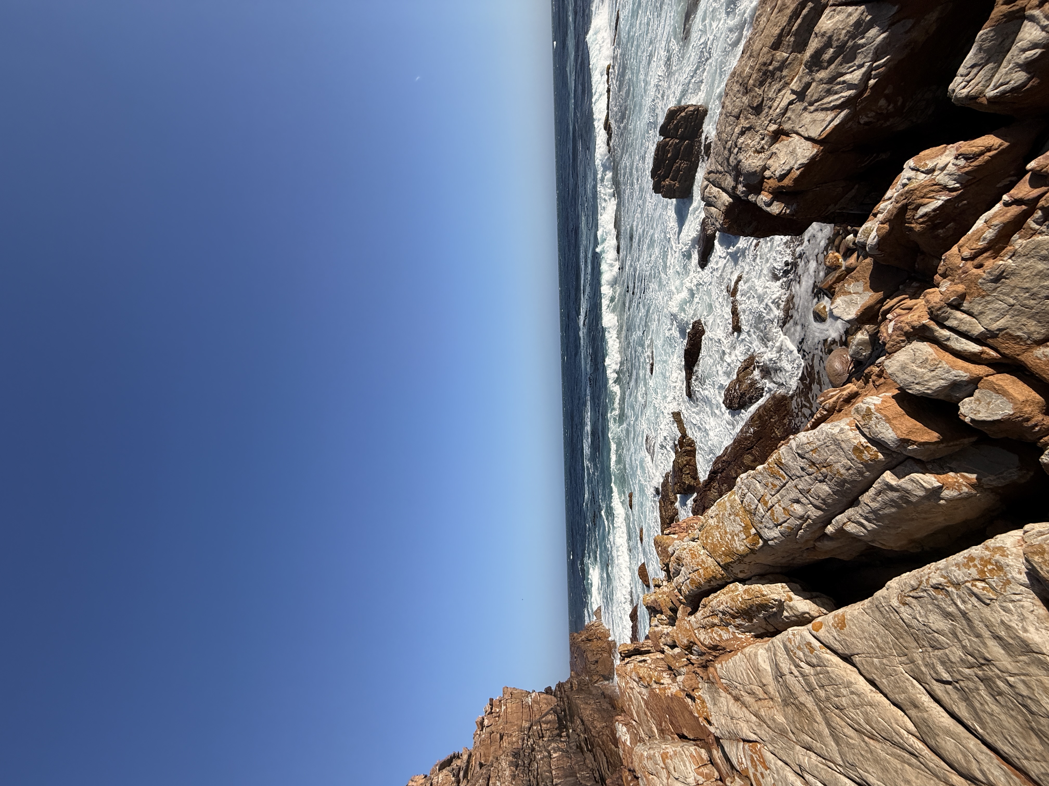 Юар: мыс Доброй Надежды, Столовая гора, пингвины, винодельни, гепарды (27/69)