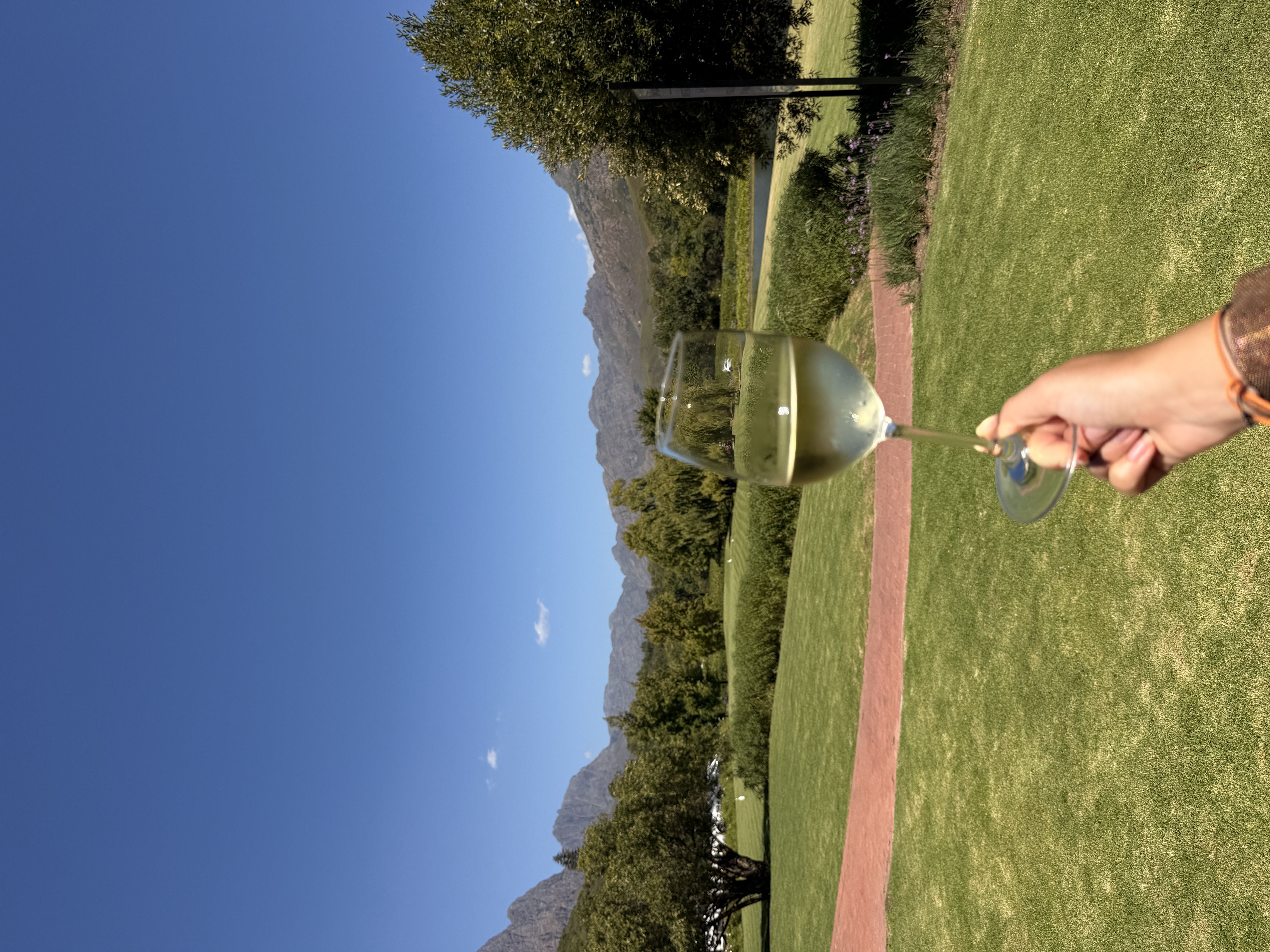 Юар: мыс Доброй Надежды, Столовая гора, пингвины, винодельни, гепарды (33/69)