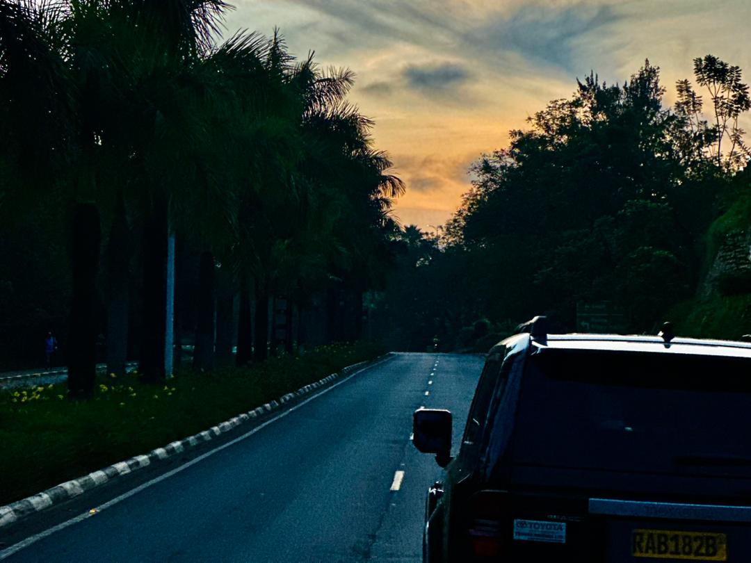 10 Days Kigali, Nyungwe, Lake Kivu And Volcanoes Rwanda Adventure (25/26)