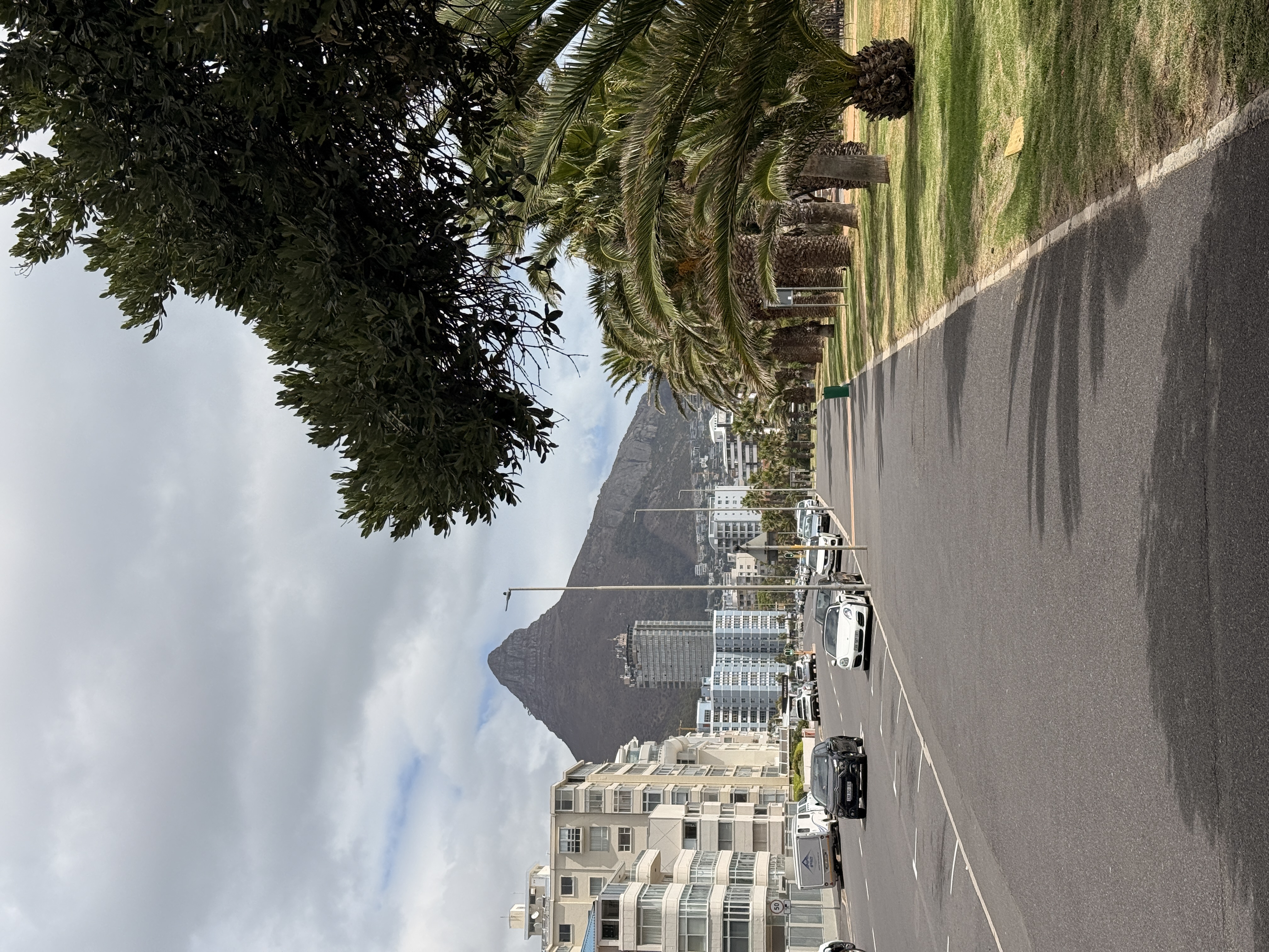 Юар: мыс Доброй Надежды, Столовая гора, пингвины, винодельни, гепарды (8/69)