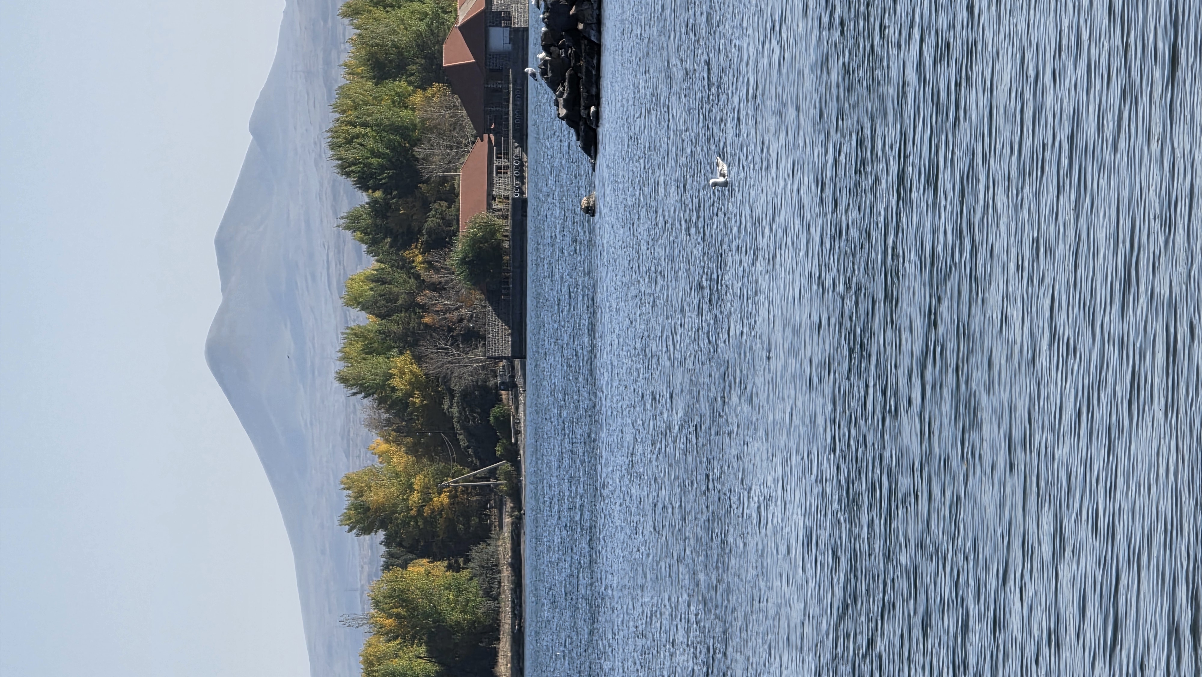 Экспедиция в Армению (17/22)