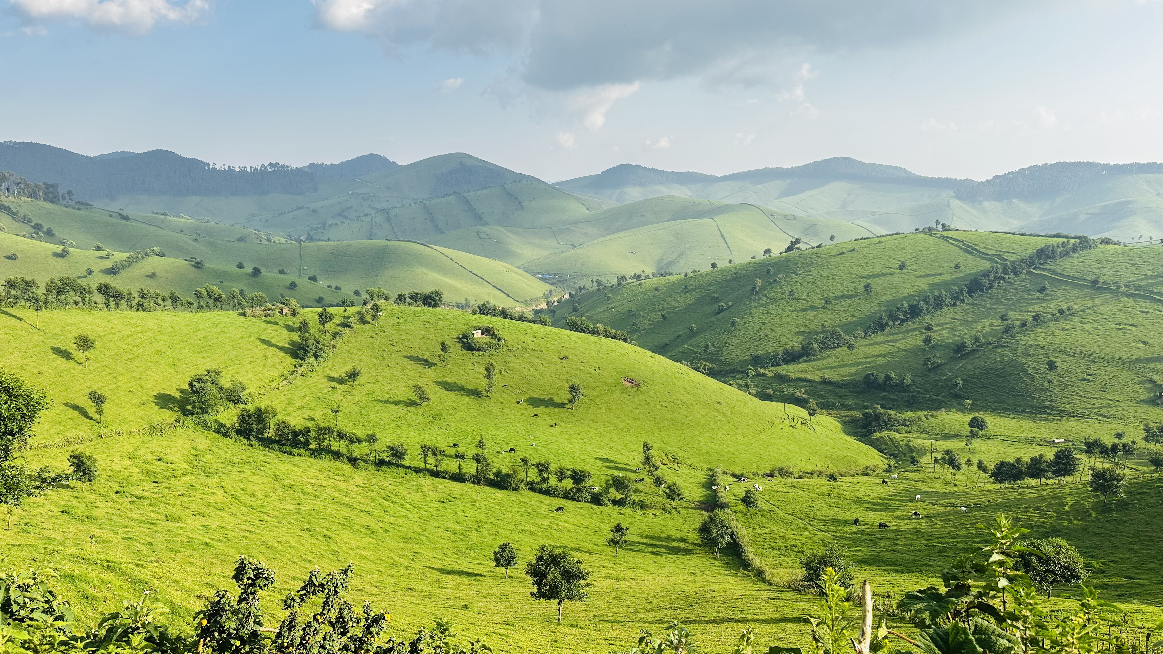 10 Days Kigali, Nyungwe, Lake Kivu And Volcanoes Rwanda Adventure (18/26)
