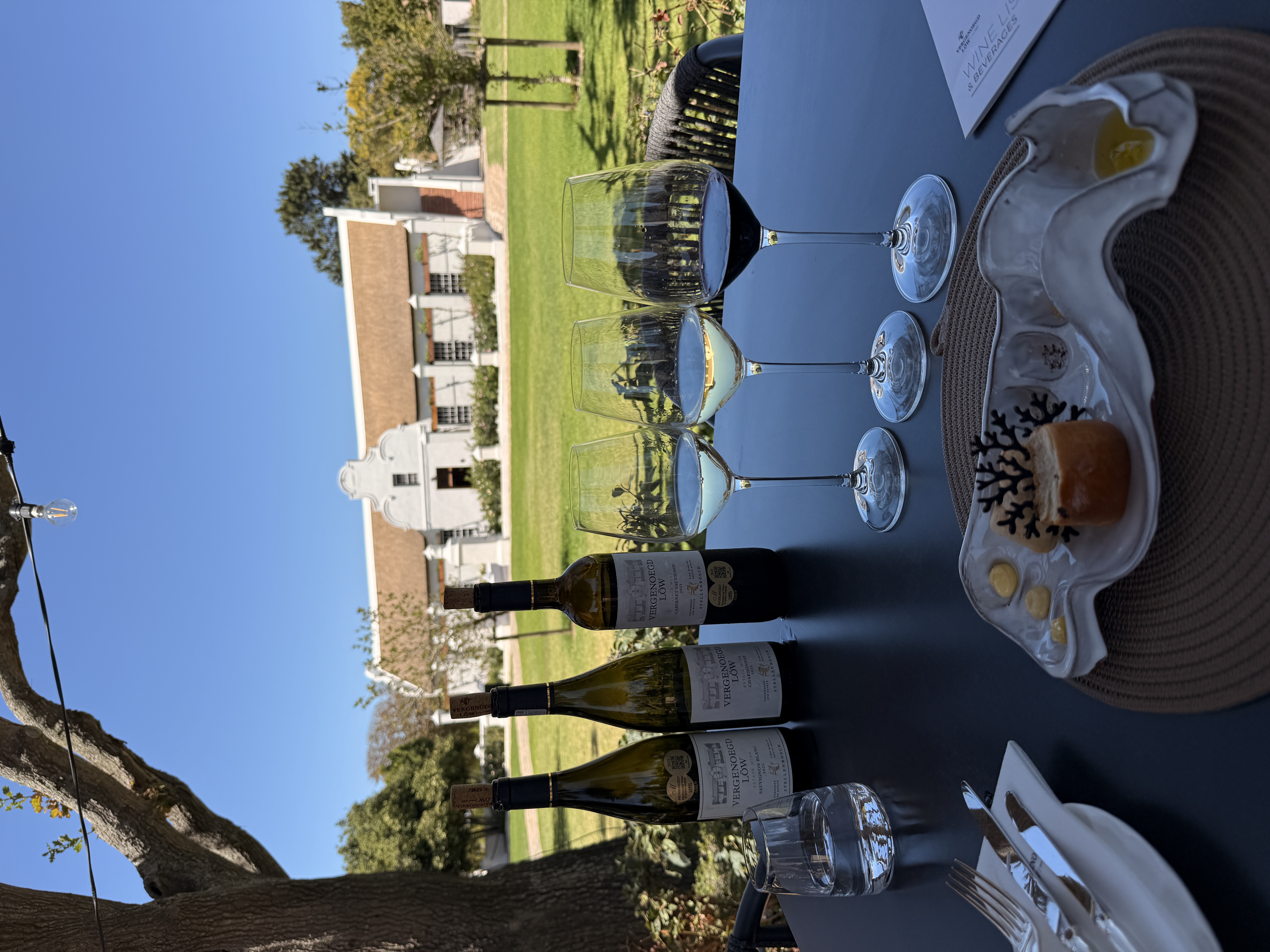 Юар: мыс Доброй Надежды, Столовая гора, пингвины, винодельни, гепарды (24/69)