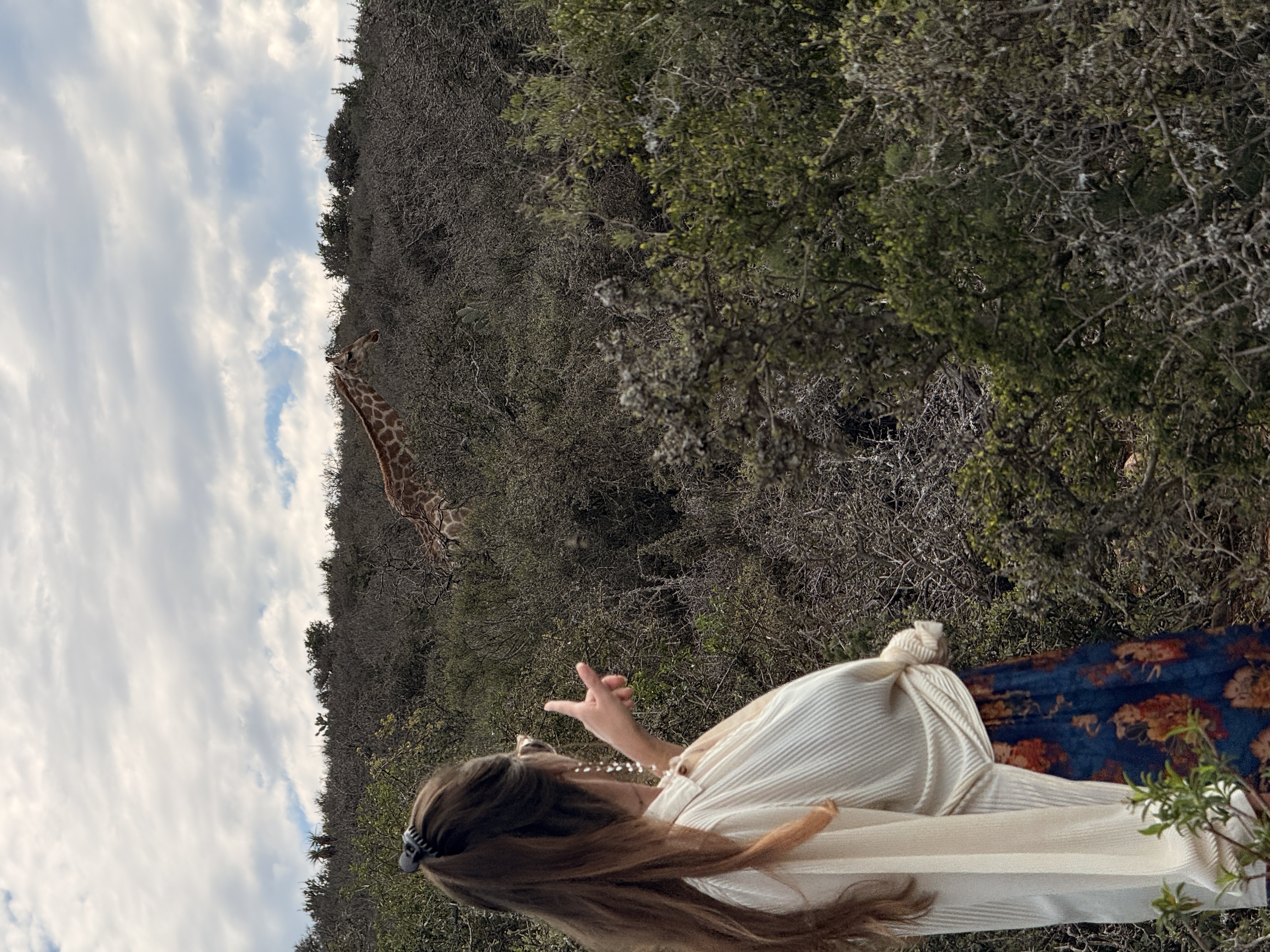 Юар: мыс Доброй Надежды, Столовая гора, пингвины, винодельни, гепарды (14/69)