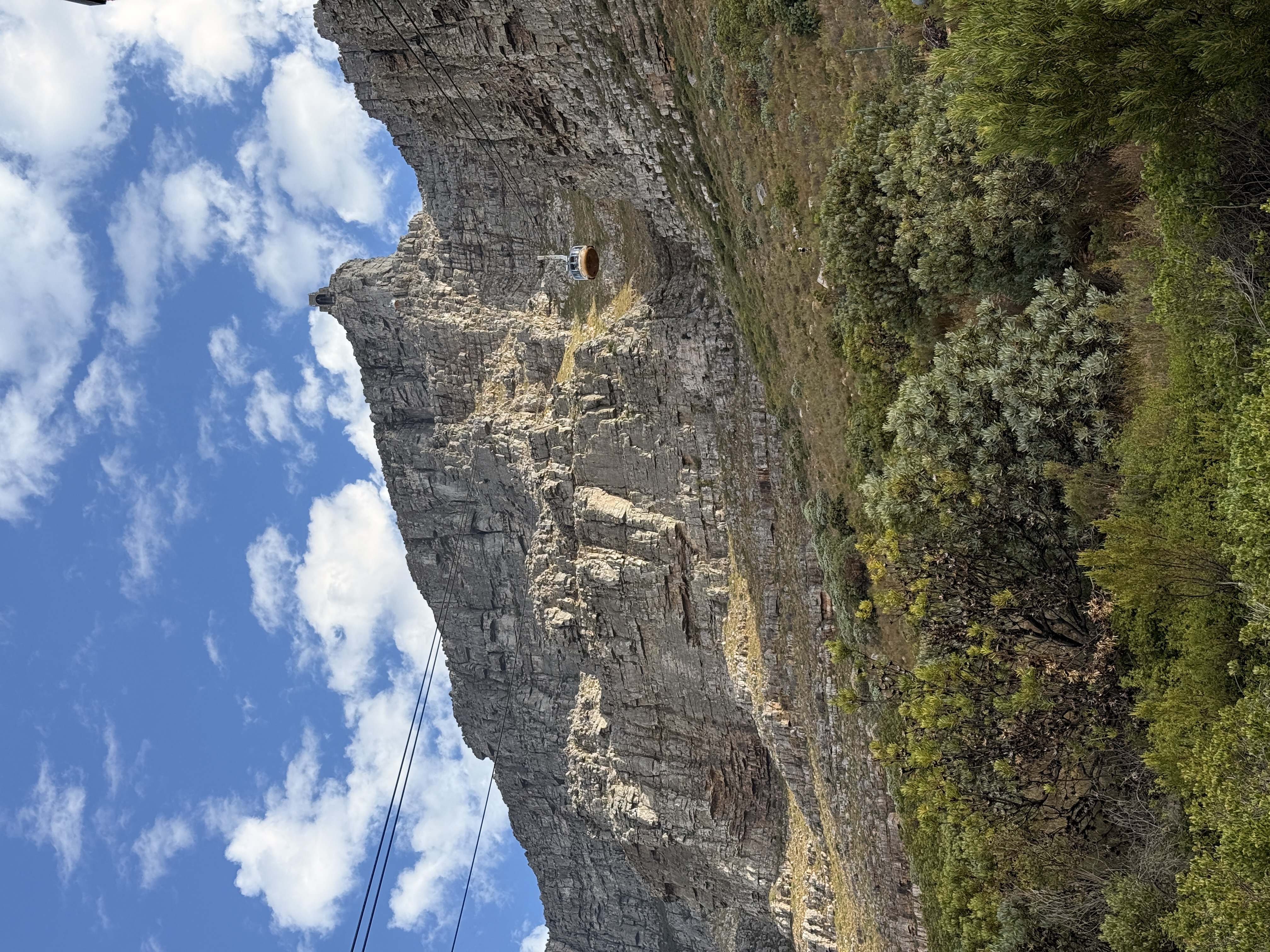 Юар: мыс Доброй Надежды, Столовая гора, пингвины, винодельни, гепарды (42/69)