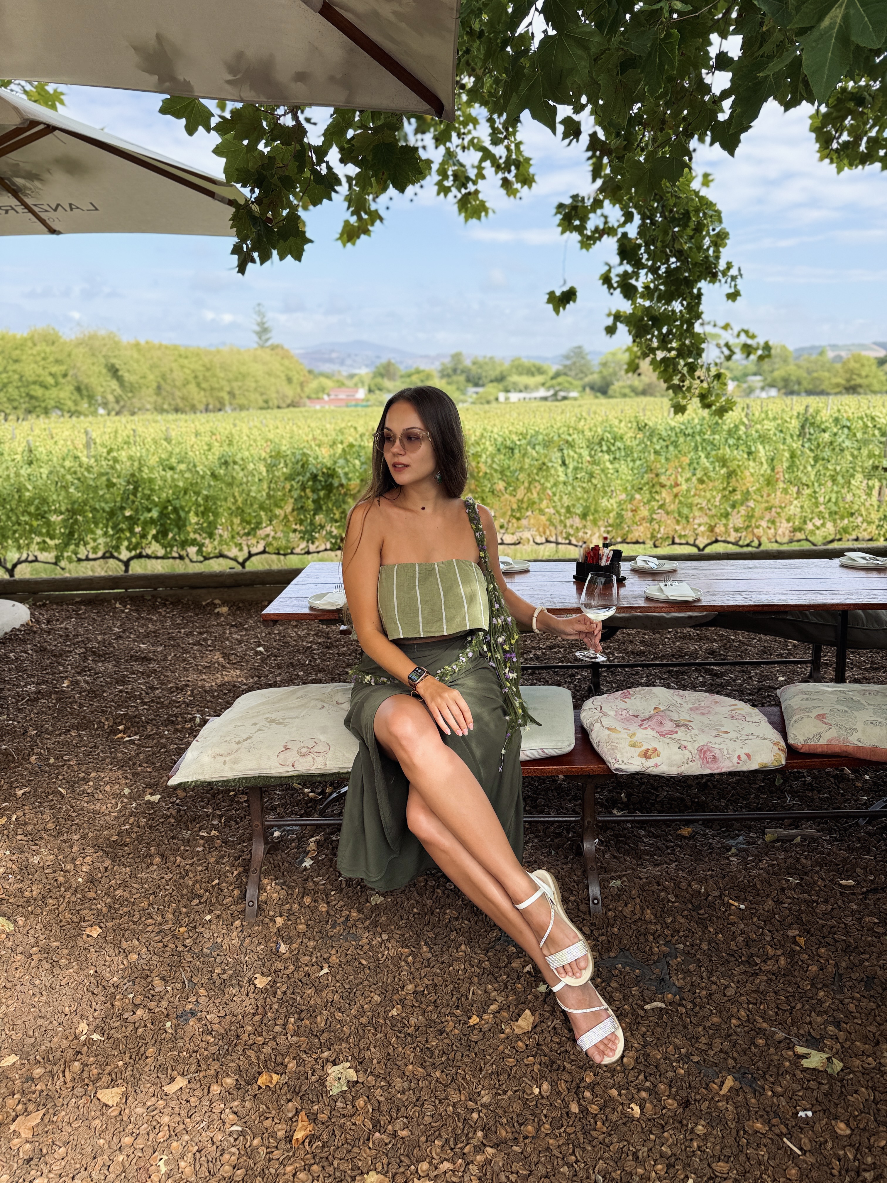 Юар: мыс Доброй Надежды, Столовая гора, пингвины, винодельни, гепарды (46/69)