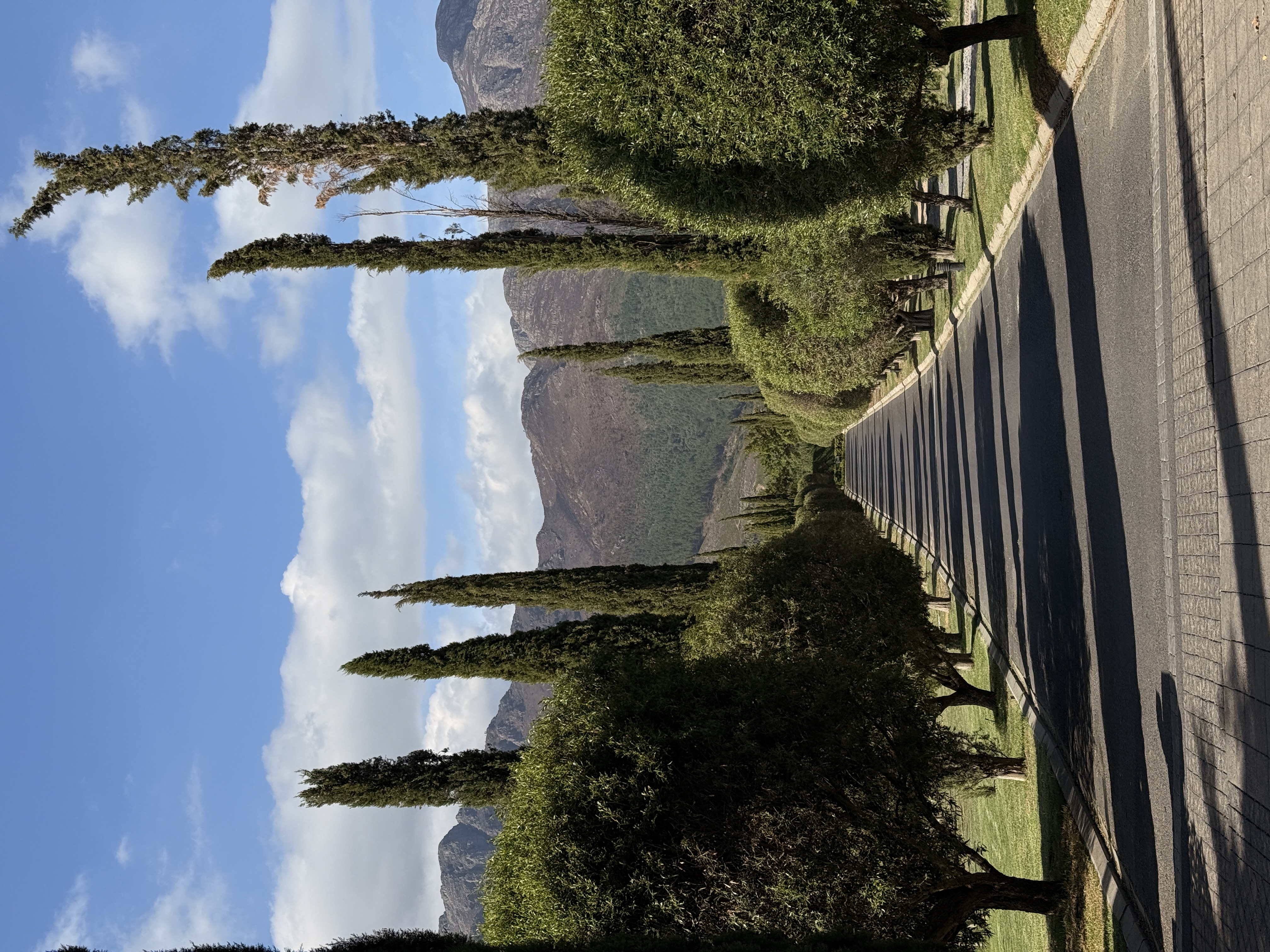 Юар: мыс Доброй Надежды, Столовая гора, пингвины, винодельни, гепарды (64/69)