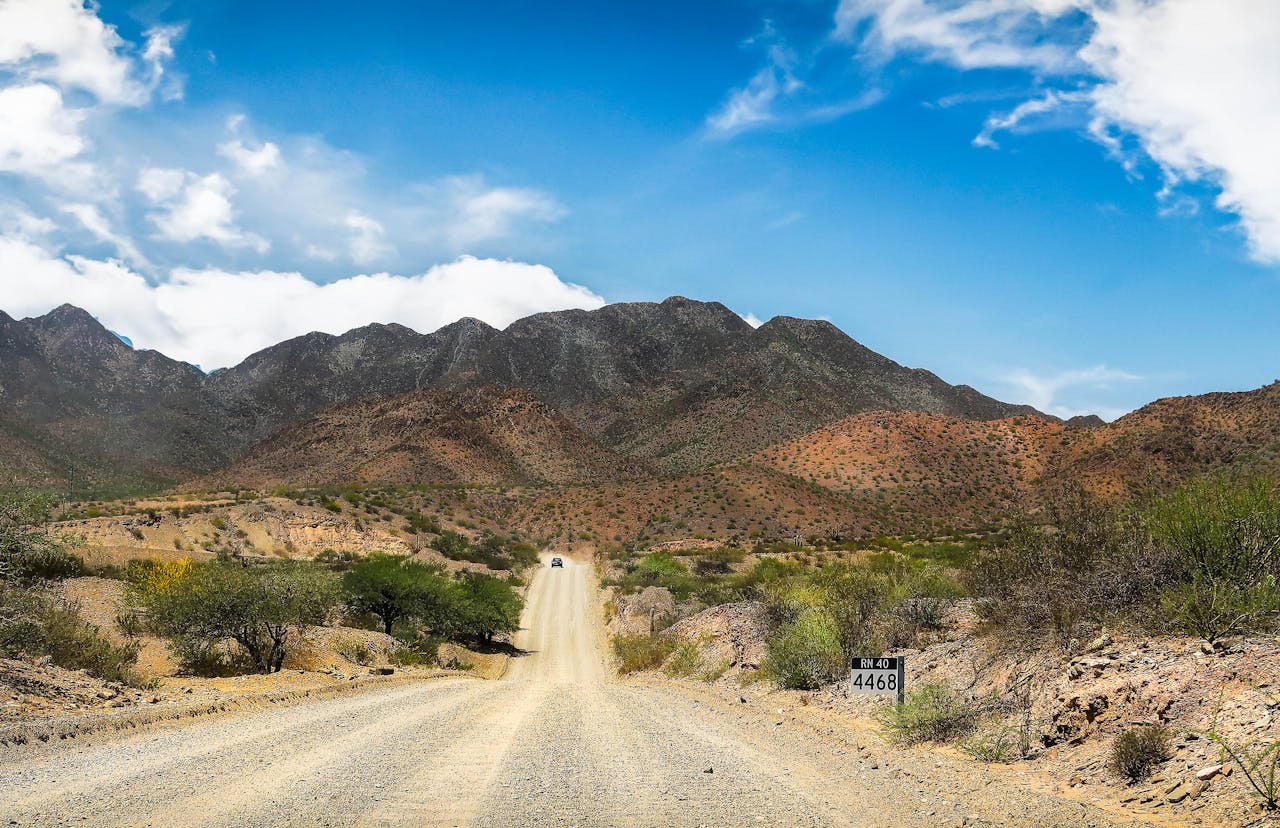 Намибия + Замбия + Зимбабве + Ботсвана (5/46)